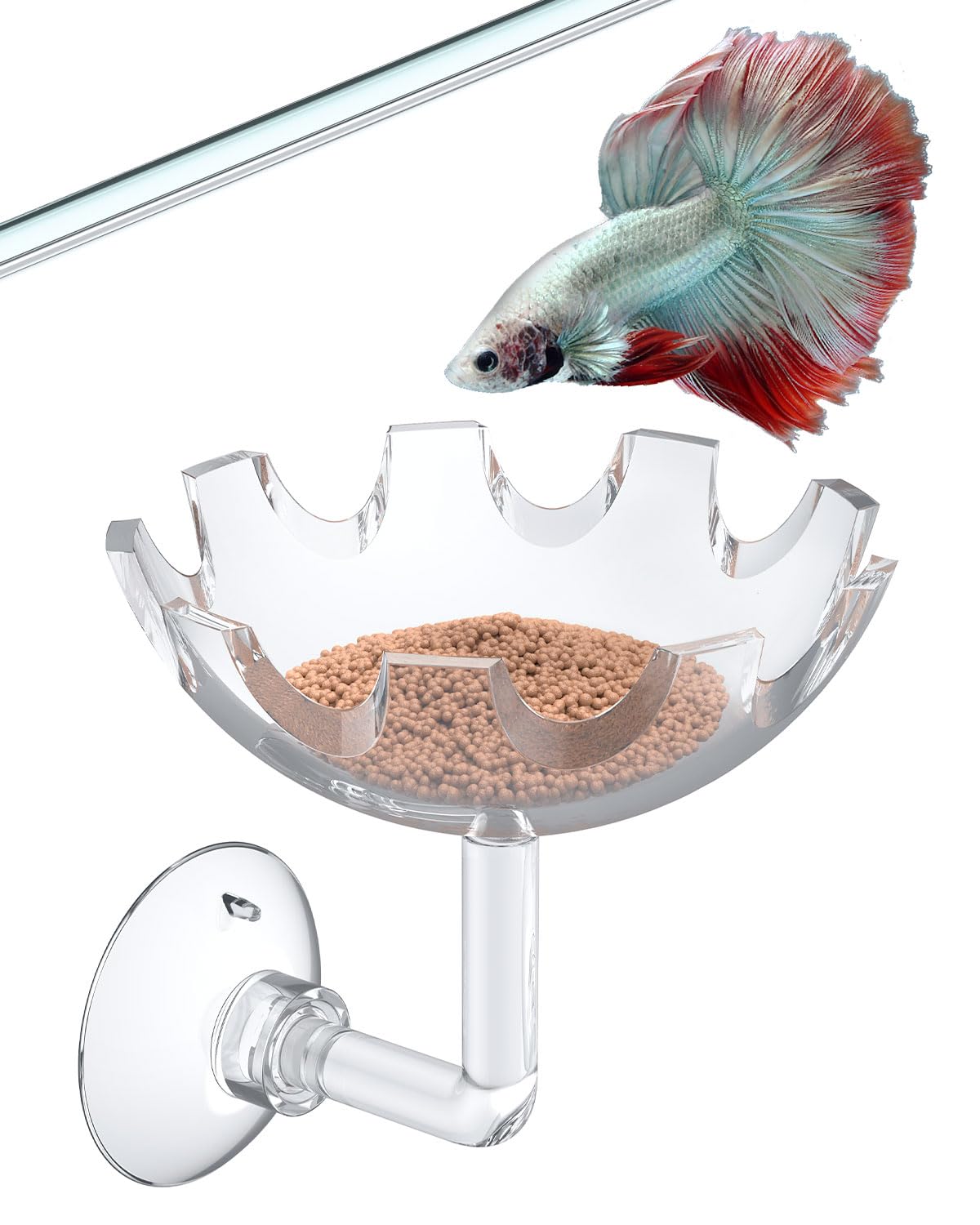 Pawfly Shrimp Feeding Dish With Suction Cup, Clear Acrylic Aquarium Shrimp Feeder, Fish Feeding Tray For Freshwater And Saltwate