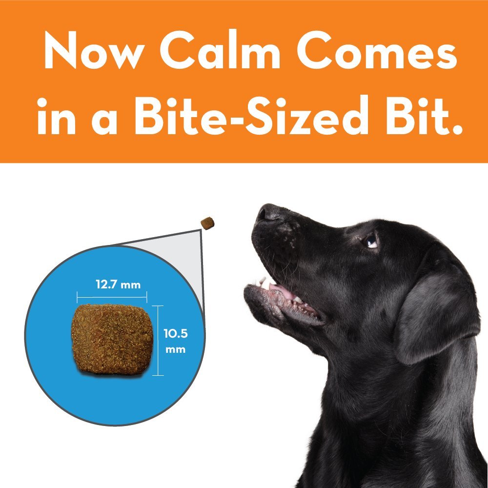 ThunderBites Dog Calming Chews, Thiamine, L-Tryptophan, Melatonin and Ginger, Can Help Relieve Stress from Separation, Storms, F