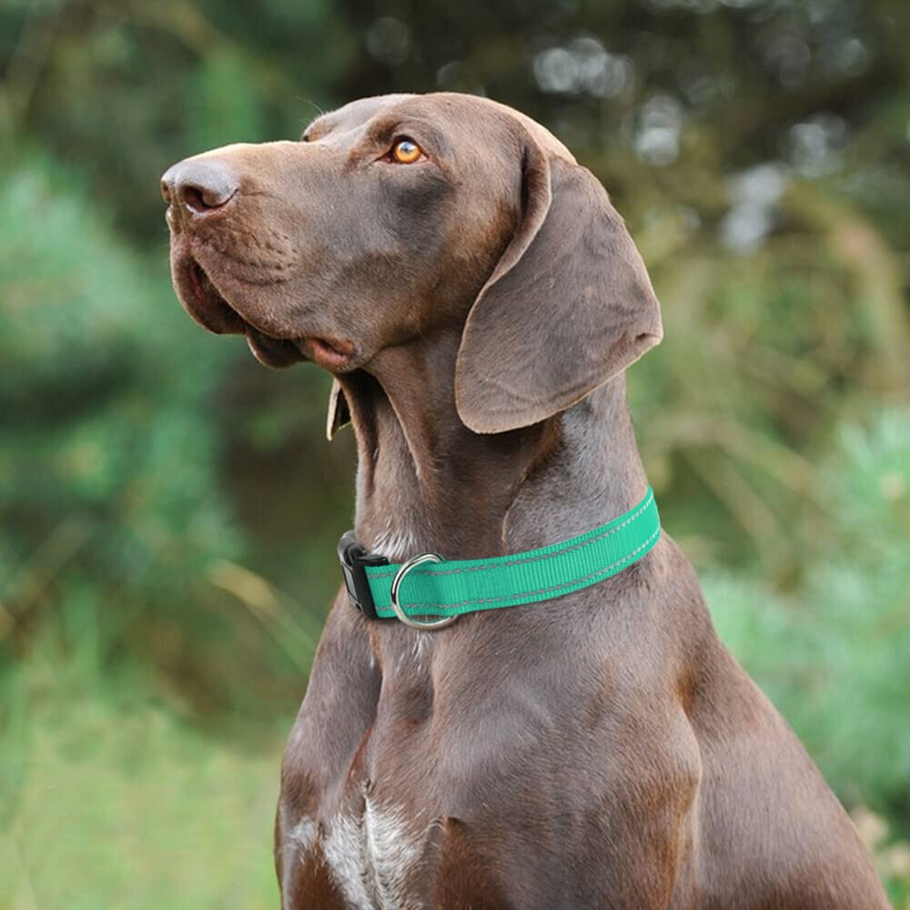 Taglory Reflective Adjustable Dog Collars For Puppy Small Medium Large Dogs, Thin Nylon Webbing And Quick Release Plastic Buckle(Teal Green,X-Large)