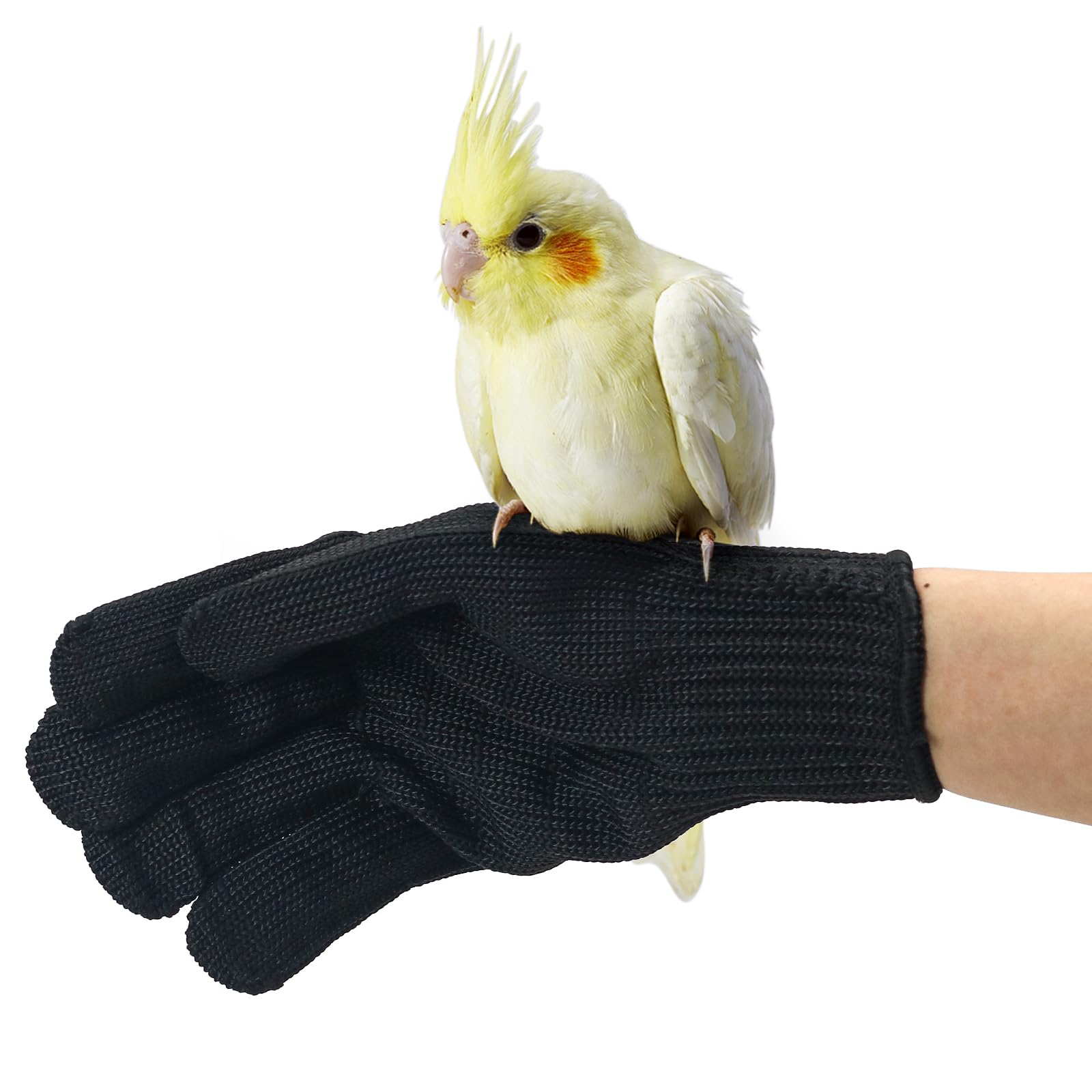 Bac-Kitchen Bird Training Anti-Bite Gloves, Level 5 Protection, Parrot Chewing Working Safety Protective Gloves For Small Animal Pet Squirrels Hamster Parrotlets Cockatiels Finch Macaw (2 Pairs)