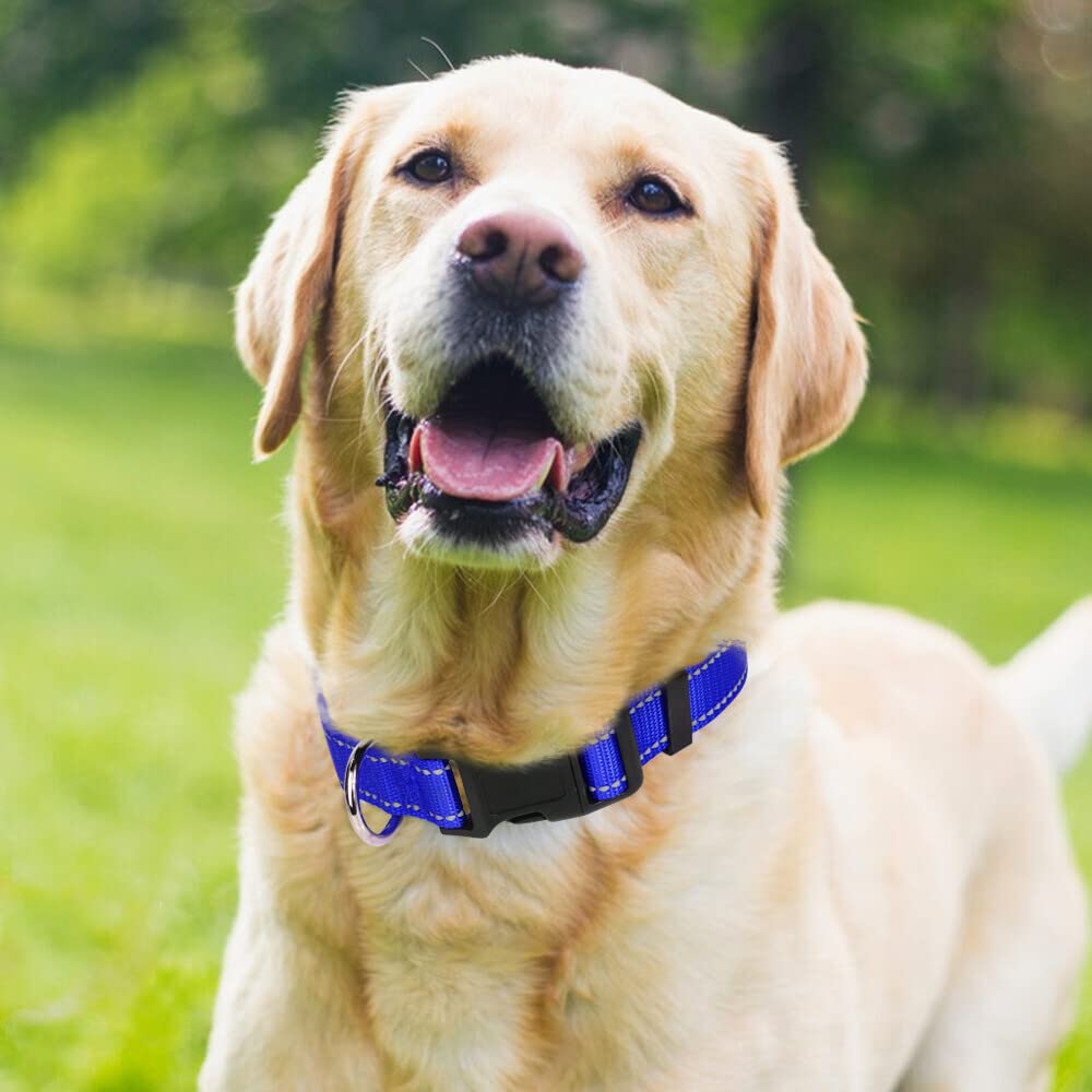 Taglory Reflective Adjustable Dog Collars For Puppy Small Medium Large Dogs, Thin Nylon Webbing And Quick Release Plastic Buckle(Royal Blue,Large)