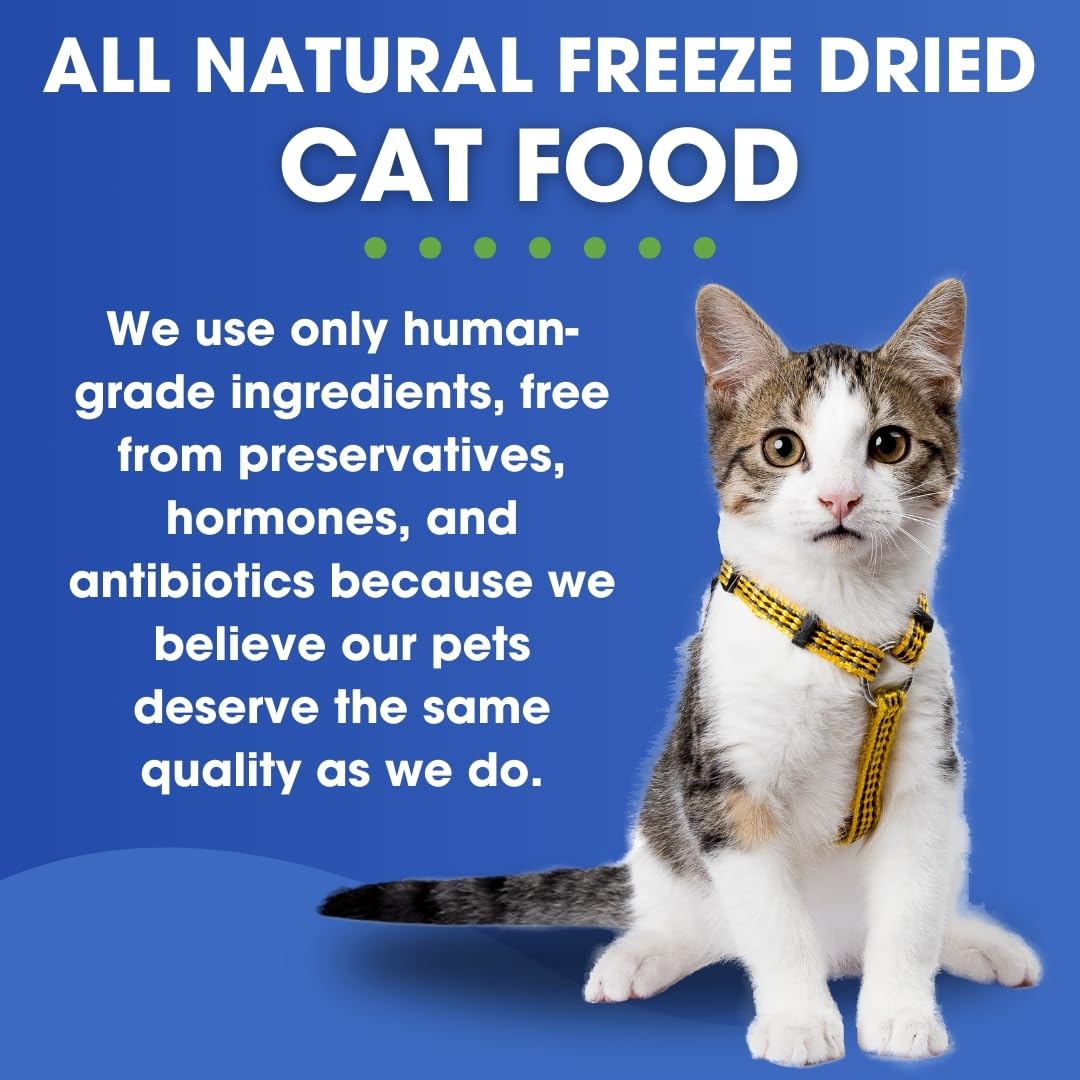 Formula Raw Freeze-Dried Raw Cat Food - Lamb Formula, High Protein, Grain-Free, Whole Ingredients, No Additives, Meal Mixer or T