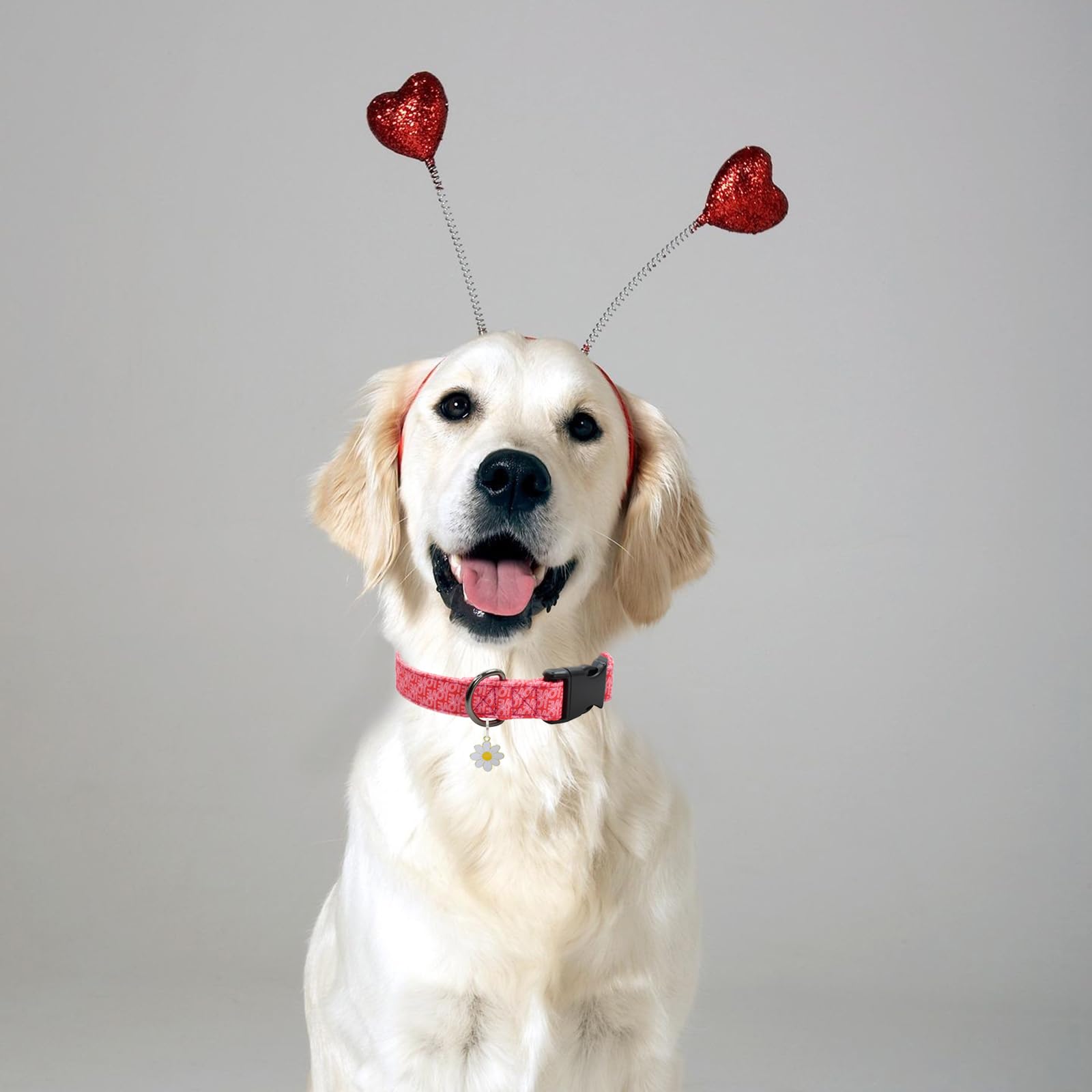 Flower Patterns Dog Collar With Accessories, Soft Cotton Dog Collars For Small Medium Large Female And Male Dogs(Love S)