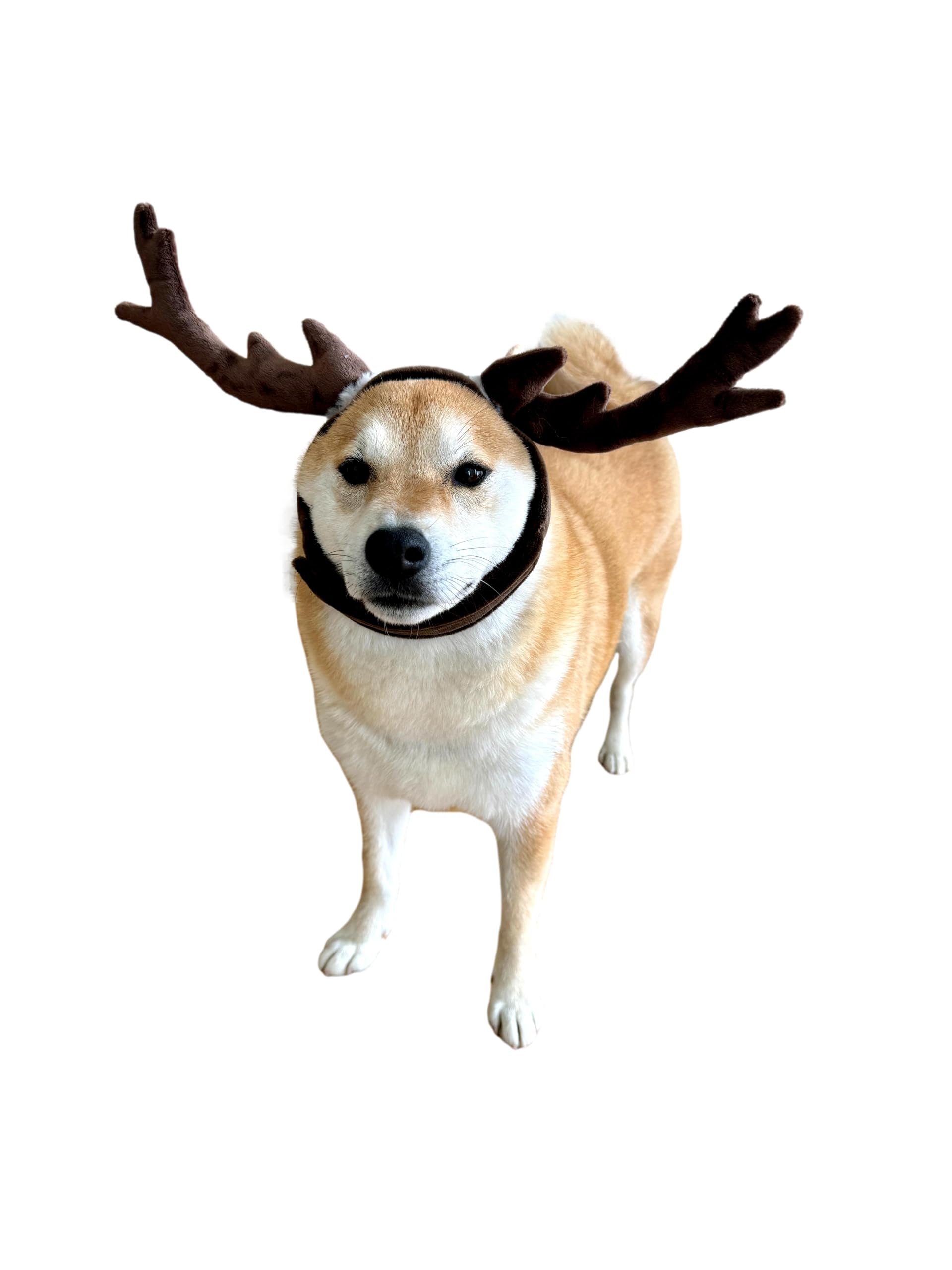 Comfycamper Reindeer Dog Headpiece - Elk Deer Antlers X Large Xxl Animal Cosplay Halloween Costumes Christmas, S