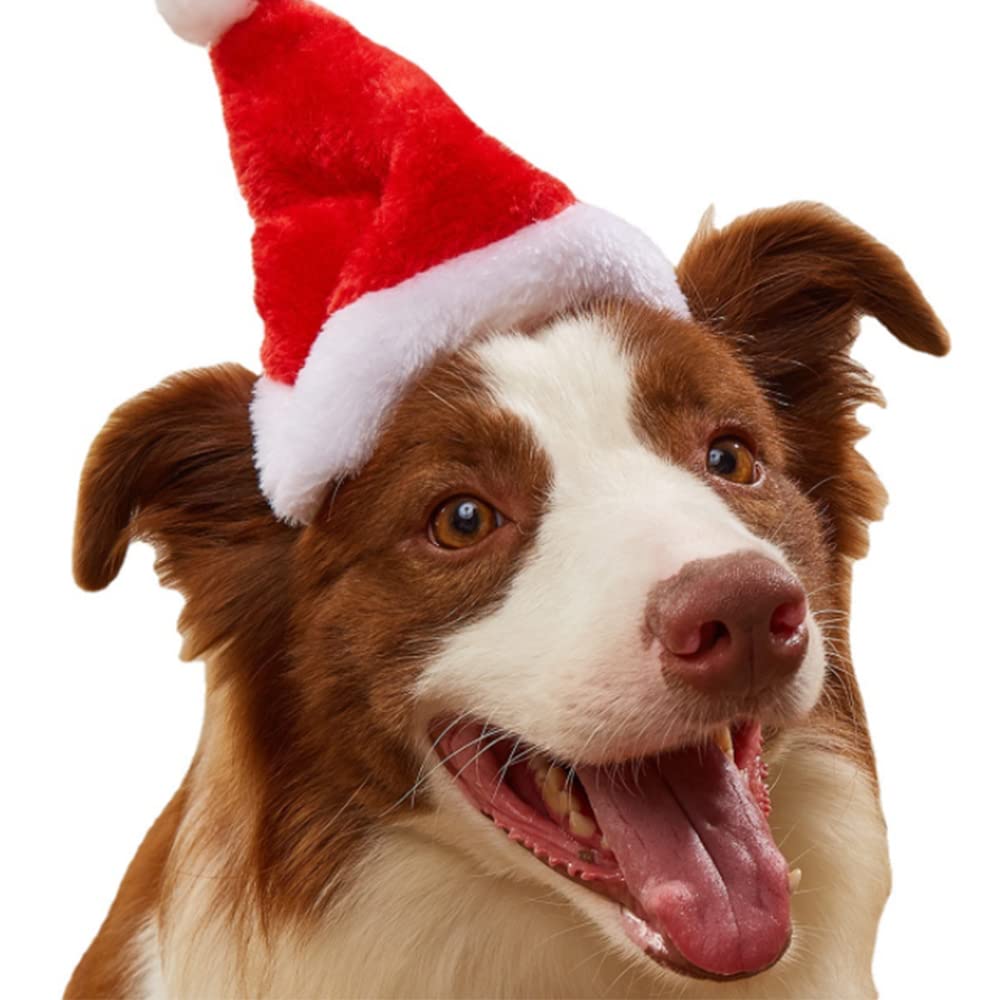 Yahpetes Dog Cat Pet Santa Hat Christmas Santa Claus 4 Pcs Pet Christmas Hat 5.5'X7.8' Dog Costume For Puppy Kitten Small Cats Dogs Pets