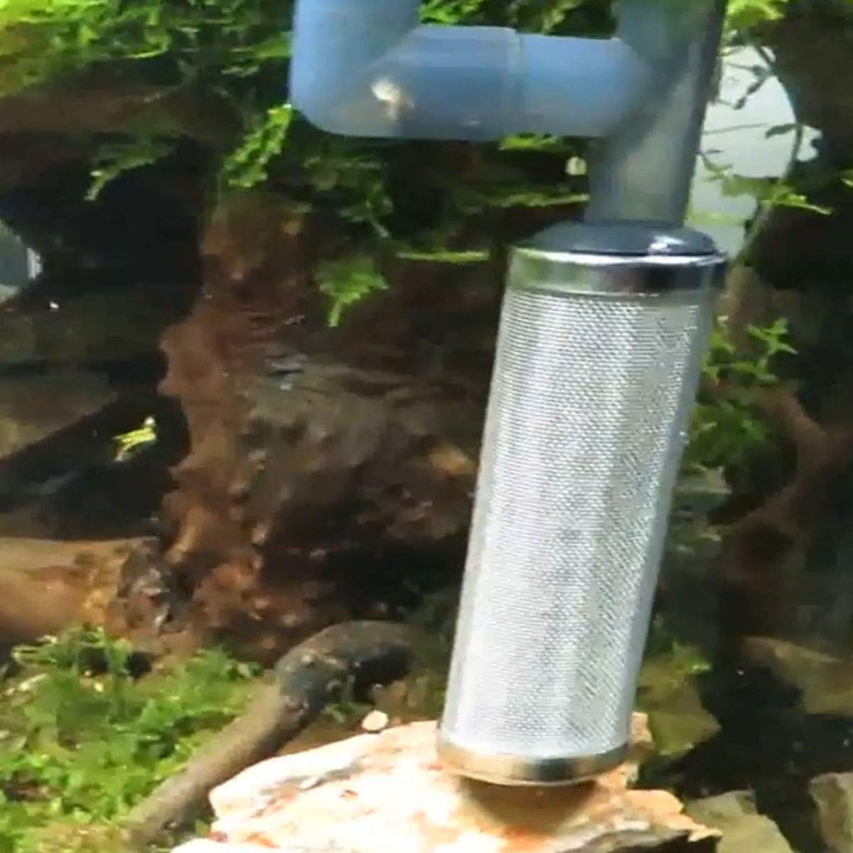 Ailindany 16Mm Aquarium Inflow Inlet Filter Stainless Steel Fish Shrimp Mesh Net Filter Guard