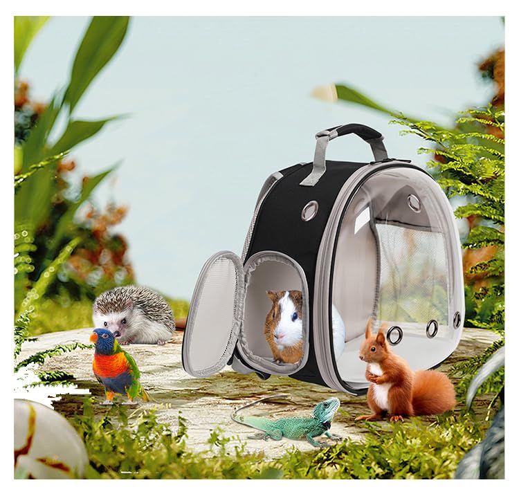 Guinea Pig Backpack Carrier, Bearded Dragon Carrier Backpack With Clear Bubble Window,Small Animal Travel Backpack For Hedgehog Rat Parrot,Rabbit,Sugar Glider,Airline Approved(Black, Backpack)