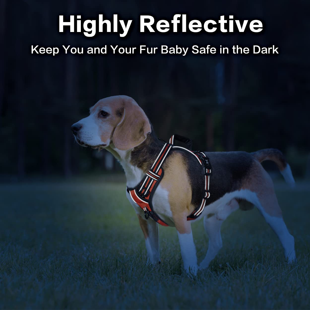 Poypet No Pull Dog Harness, No Choke Front Clip Reflective Dog Vest With Soft Padded Vertical Handle, 3 Leash Attachments For Small Medium Large Dogs (Orange,L)