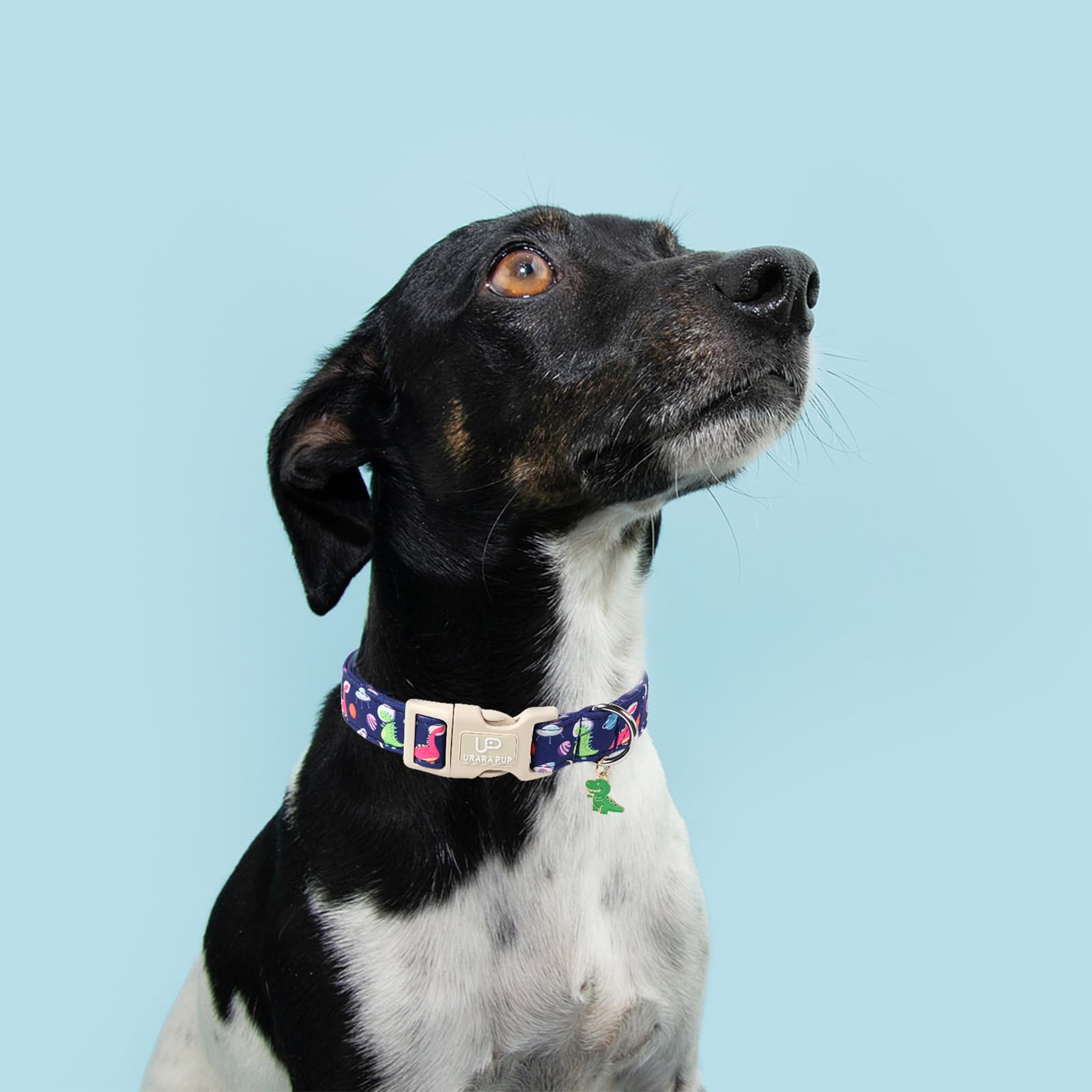 Up Urara Pup Summer Dog Collar-Dinosaur Dog Collars With Planet-Cute Blue Summer Pet Dollar-Soft, Adjustable & Stylish For Small