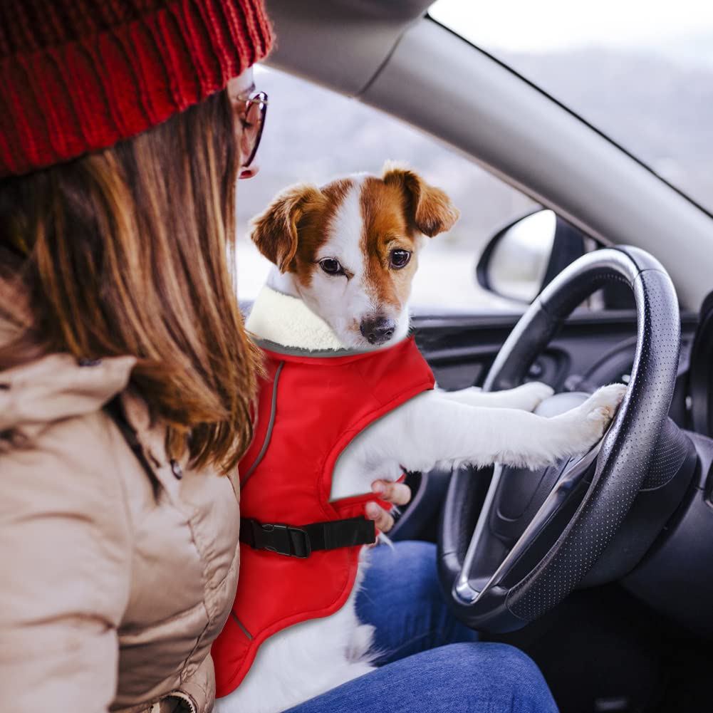 Emust Dog Coat Winter, Waterproof Dog Snow Jacket For Winter, Adjustable Small/Medium/Large Dog Coat/S For Winter, Red, L