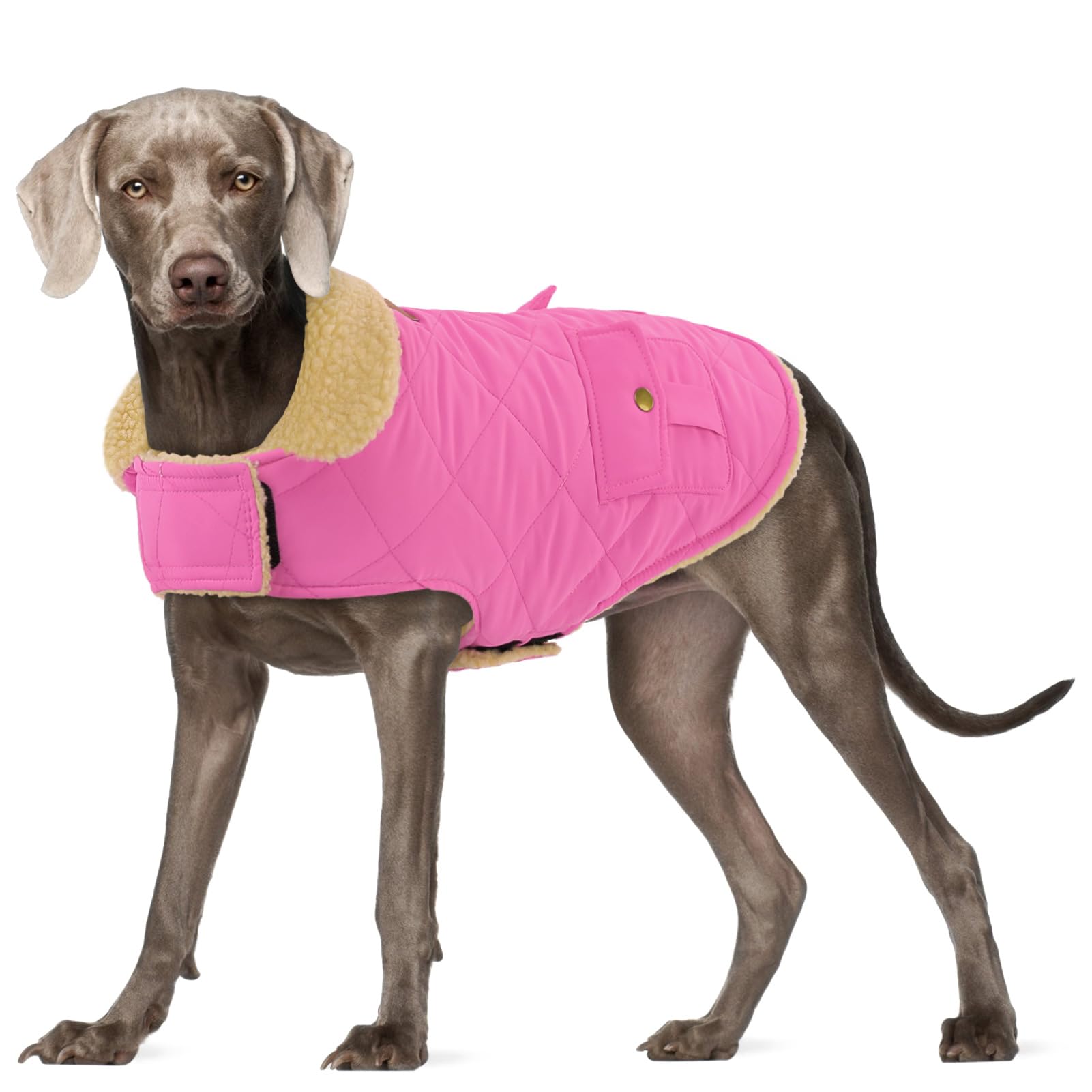 Warm Extra-Large Dog Coat, Pink Xl Windproof Cold Weather Snow Jacket For Golden Retriever, Labrador Retriever, Husky