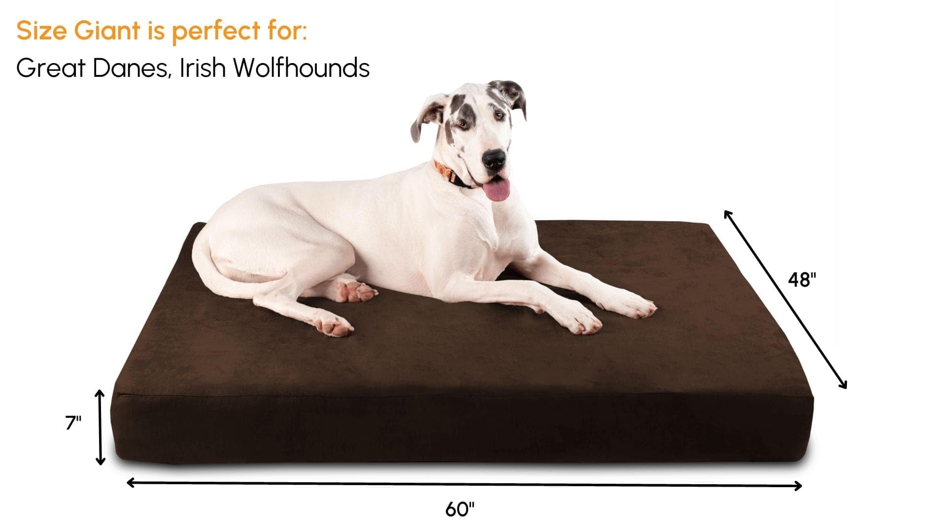 Barker Beds Sleek Giant Dog Bed (Giant, Chocolate) - 7 Thick Soft & Comfortable Orthopedic Cushion - Big Dog Bed - Durable & W