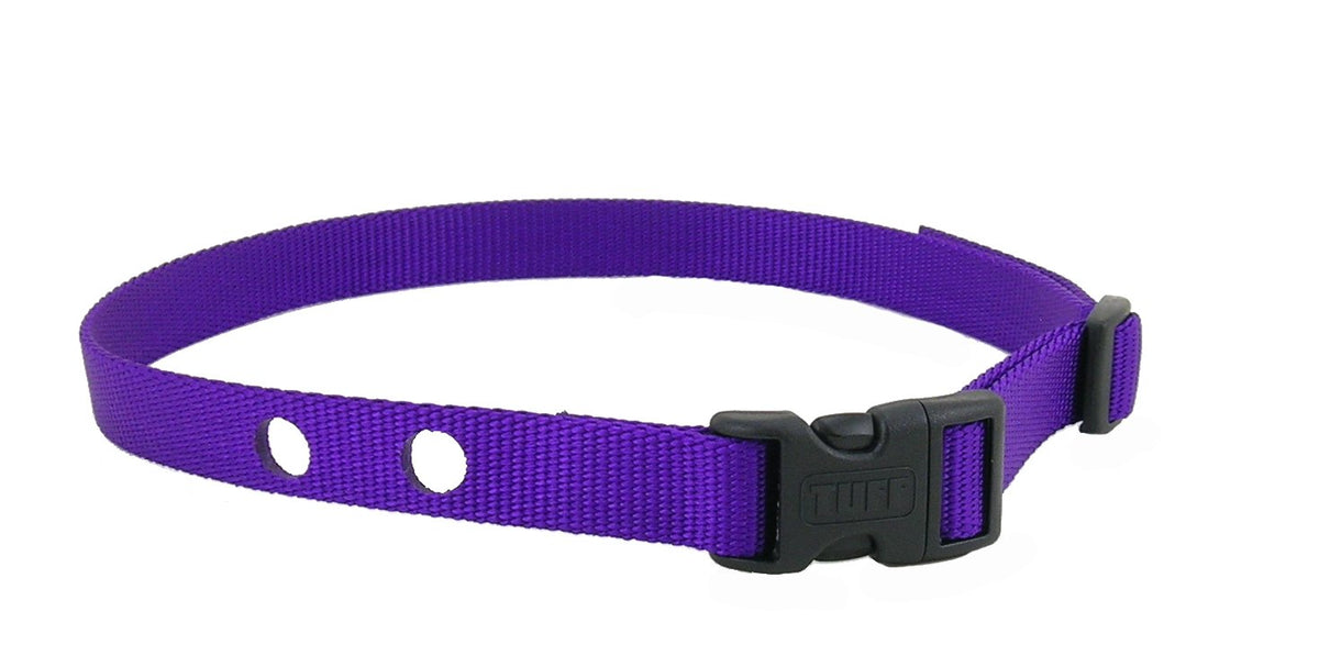 Dog Fence Receiver Heavy Duty Replacement Strap Purple By Coastal Pet
