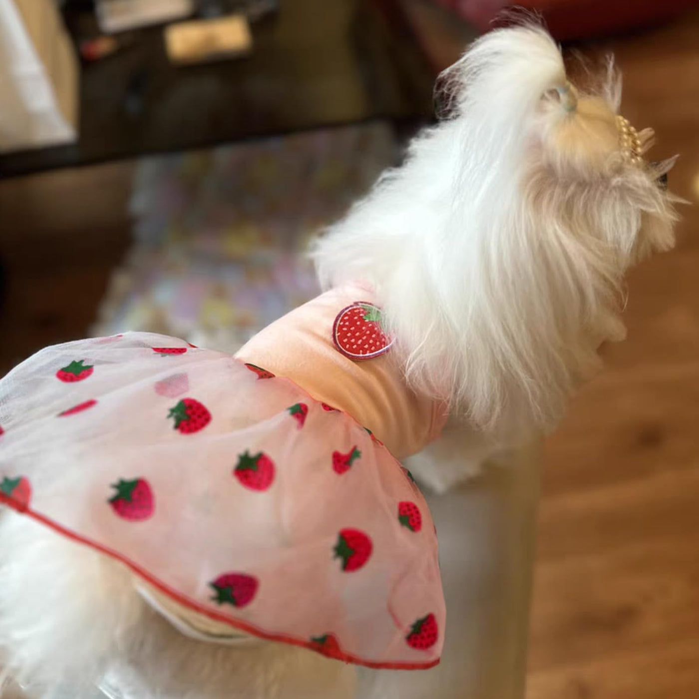 open lace back dress Blueberry Pet Breton Stripe Dog Dress - Baby Pink main image 1