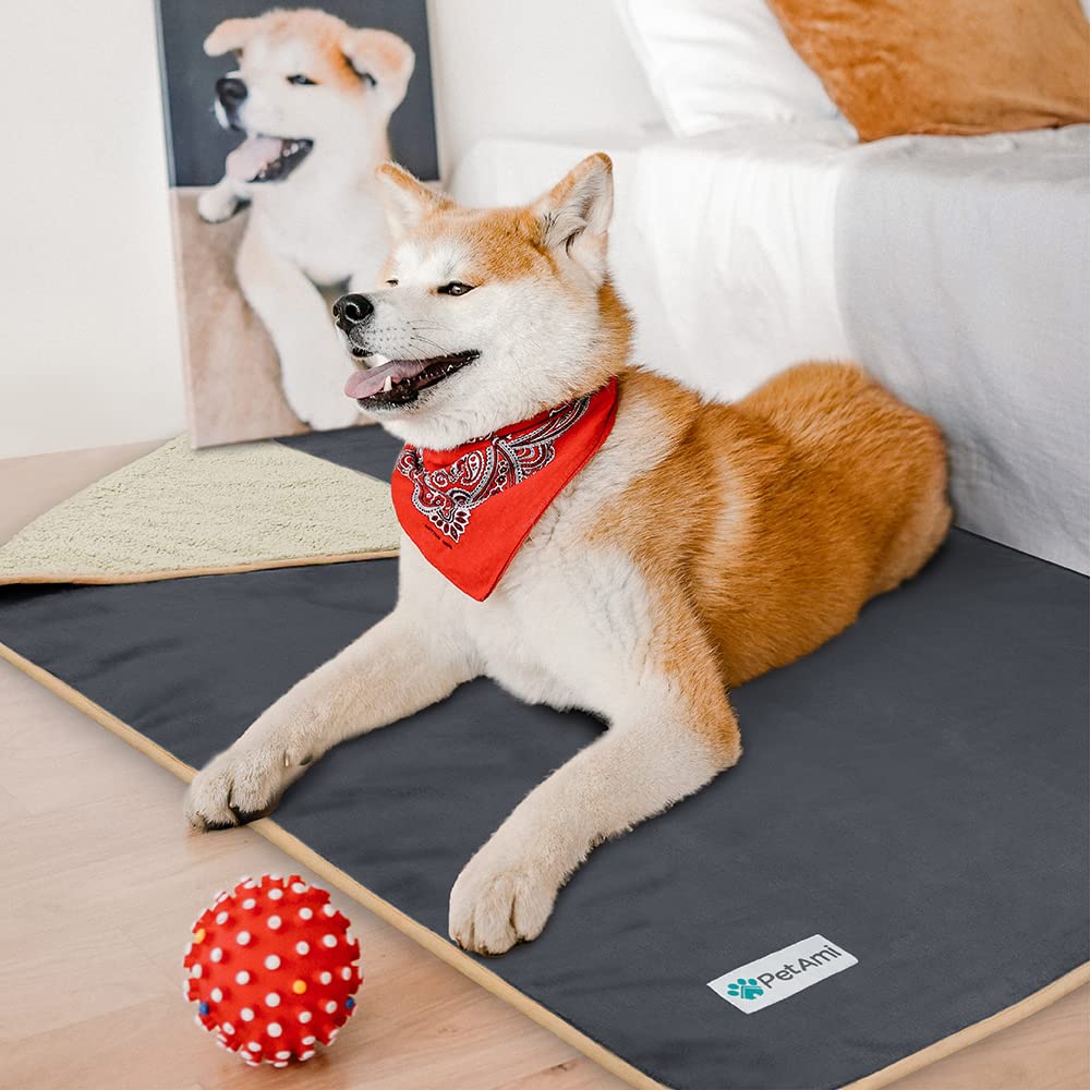 Petami Waterproof Dog Blanket For Small Medium Dogs, Pee Proof Pet Blanket Sherpa Fleece Couch Cover, Reversible Cat Throw Bed Sofa Protector, Soft Plush Washable Pad (Medium 29X40, Gray/Beige)