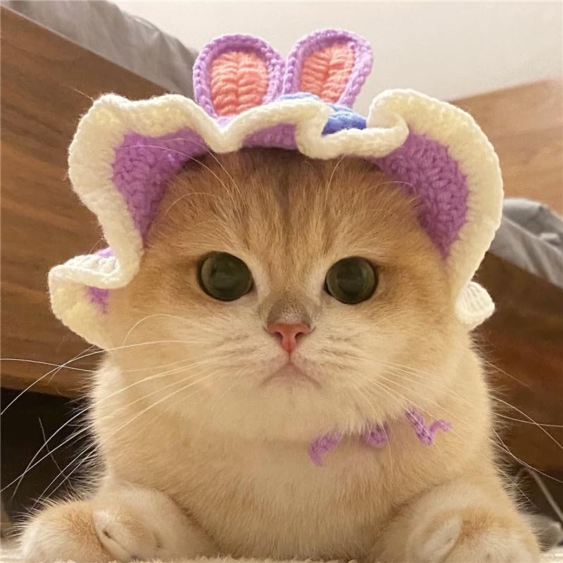 Qwinee 3D Ear Design Knit Cute Dog Hat Soft Cat Hat Rabbit Hat Halloween Christmas Party Costume Head Wear Accessories For Puppy