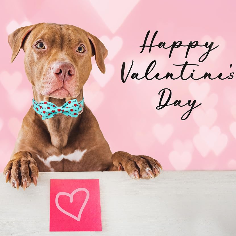 Babole Pet Valentines Dog Collar with Bow Tie,Green Love Heart Signal Valentine Dog Collars with Safety Metal Buckle Adjustable