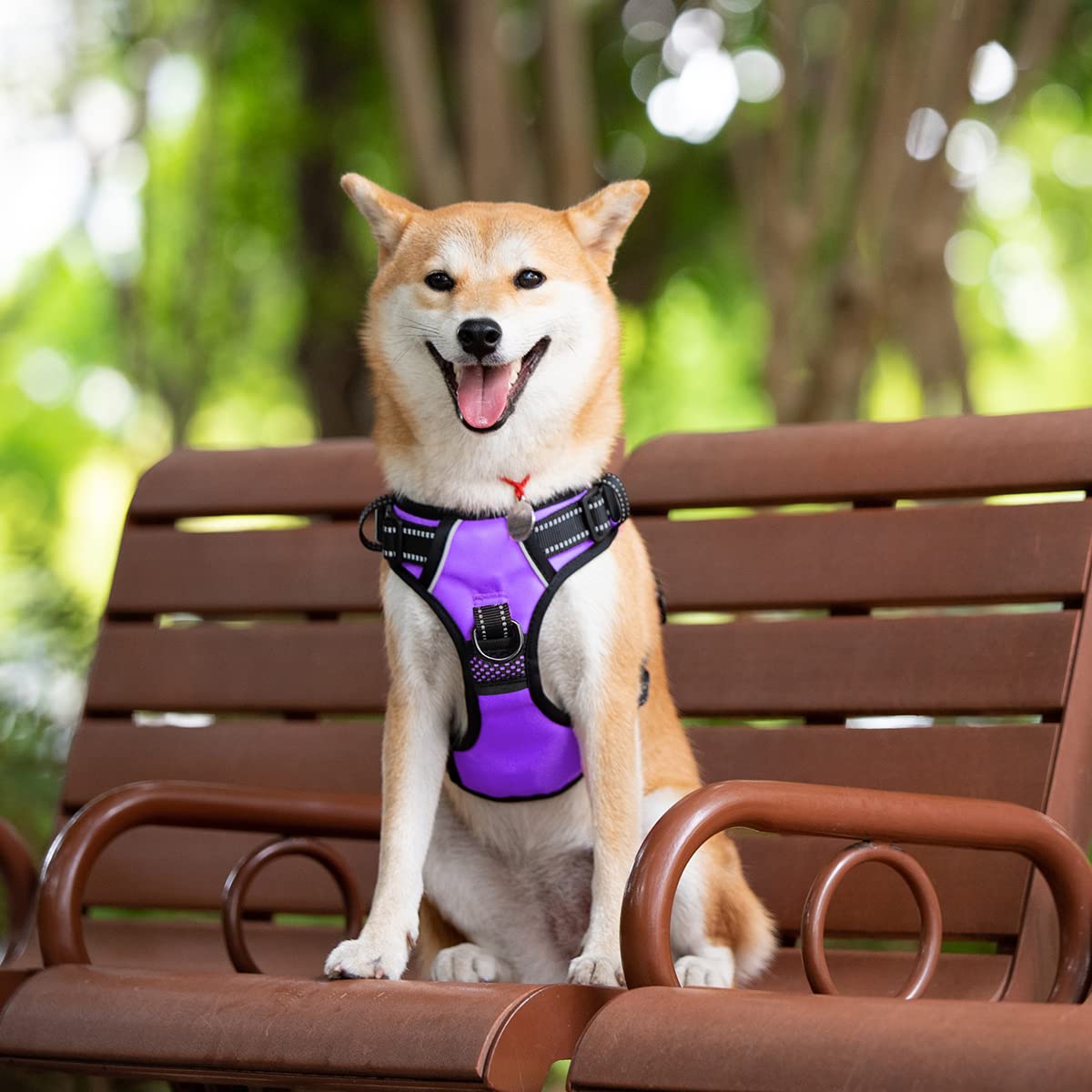 Poypet 2019 Upgraded No Pull Dog Harness With 4 Snap Buckles, Reflective With Front & Back 2 Leash Hooks And An Easy Control Handle [No Need Go Over Dog’S Head] (Purple,S)