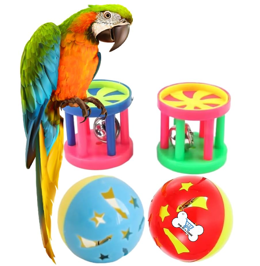 The Dds Store Pet Parrot Toy Plastic Colorful Birds Ball For Budgie African Grey Cockatoo Cockatiel Sun Conures Rabbit Cat 4Pc C