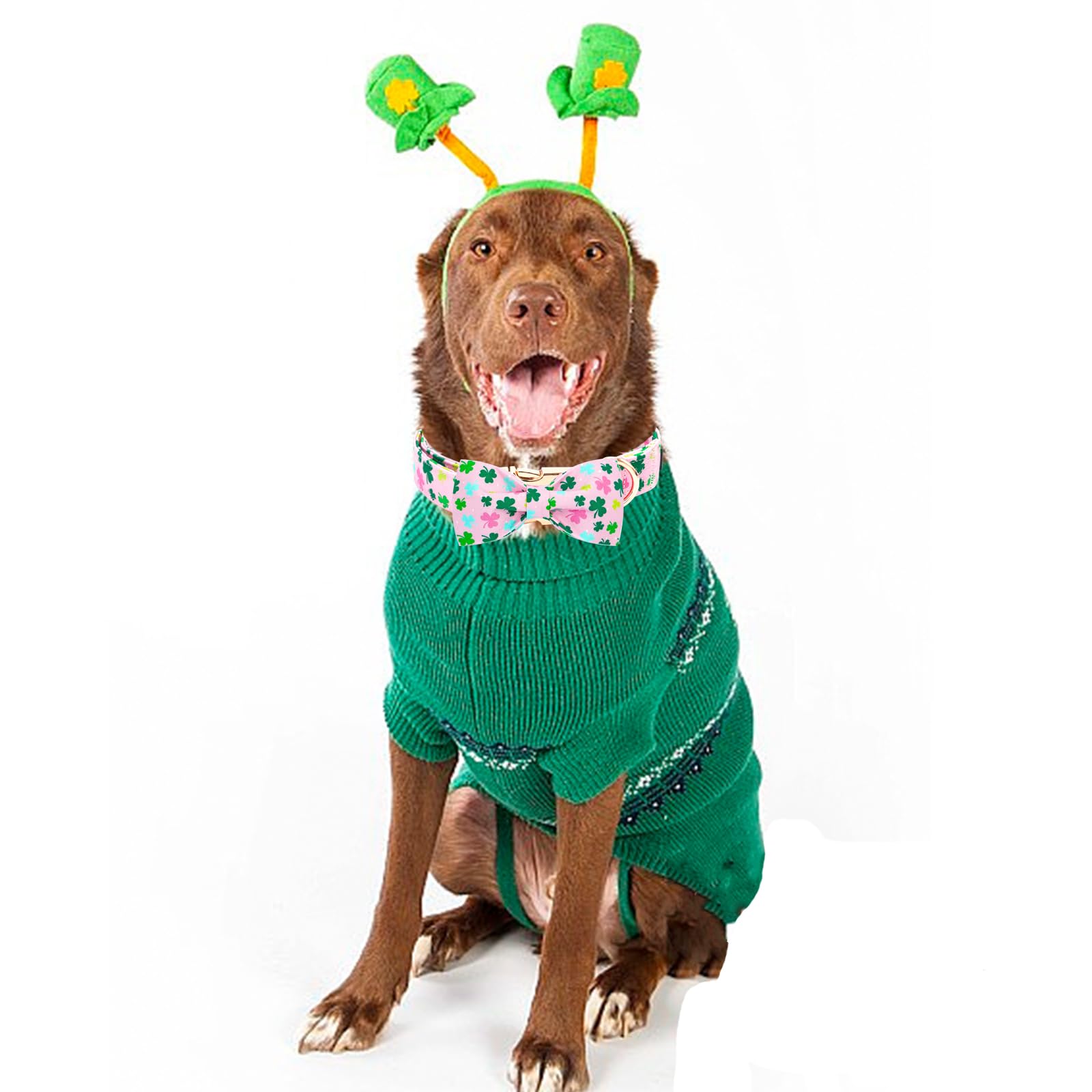 Elegant little tail St Patrick's Dog Collar, Lucky Colver Cotton Shamrock Pet Collar Trefoil Puppy Collar Bow Holiday Adjustable