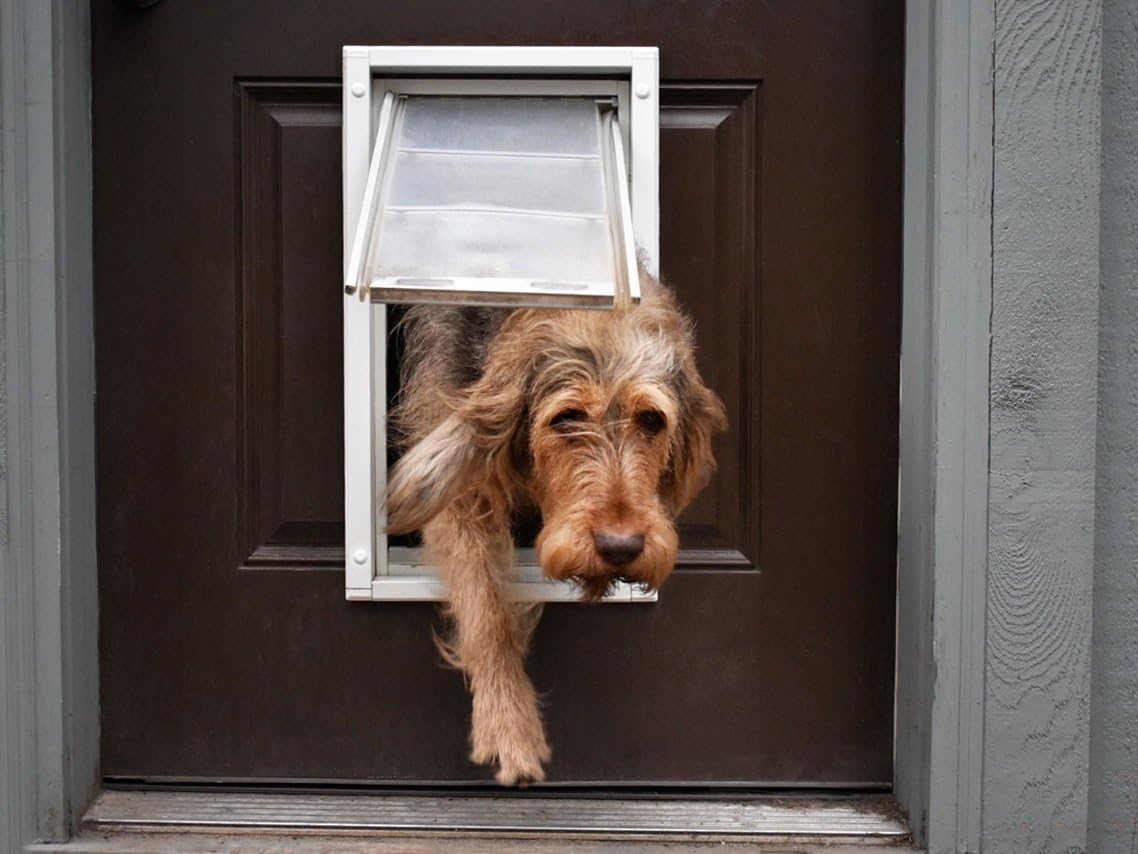 Endura Flap Single Flap Pet Door For Doors | All-Weather Insulated Flap | Durable Aluminum Frame With Secure Locking Cover | Int