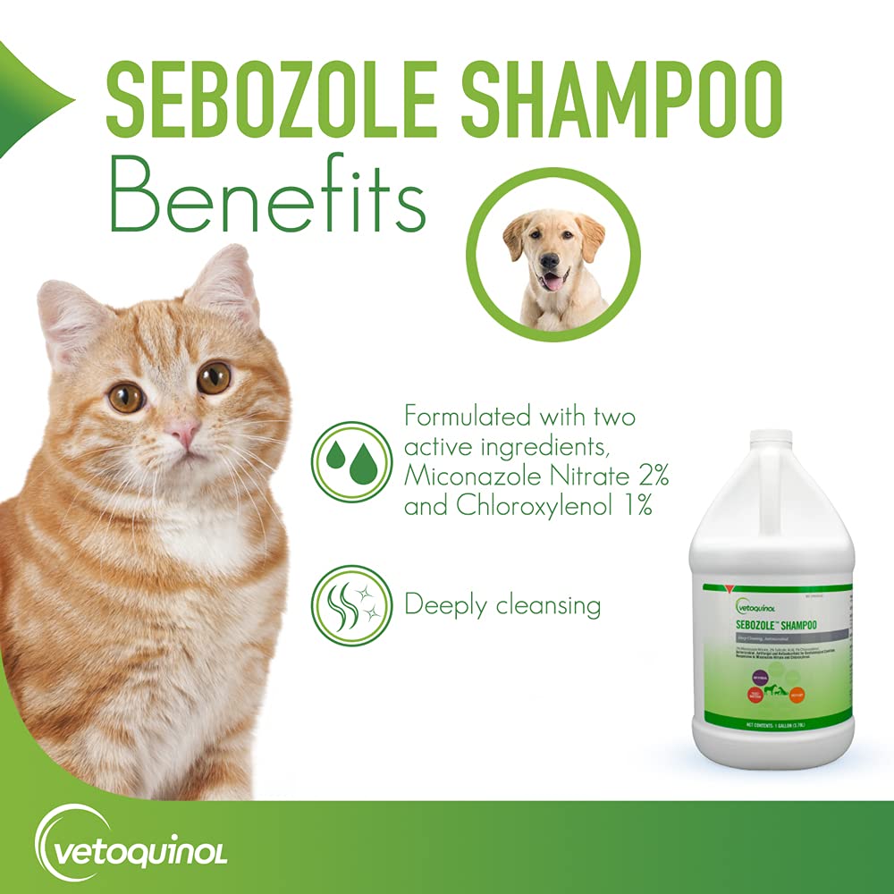 Vetoquinol Sebozole Shampoo With Miconazole Nitrate 2% And Chloroxylenol 1%, 128Oz