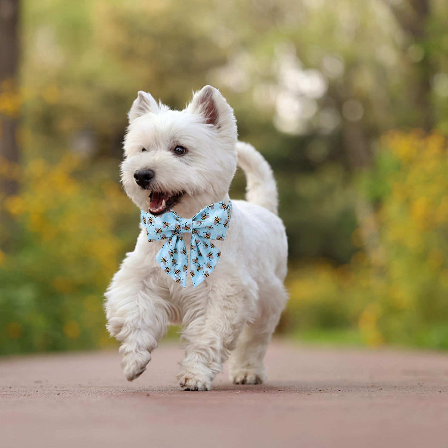 Maca Bates Blue Bee Dog Collar With Bow Bowtie For Dogs Sailor Bow Tie Adjustable Breakaway Cute Collars Accessories Gift For Sm
