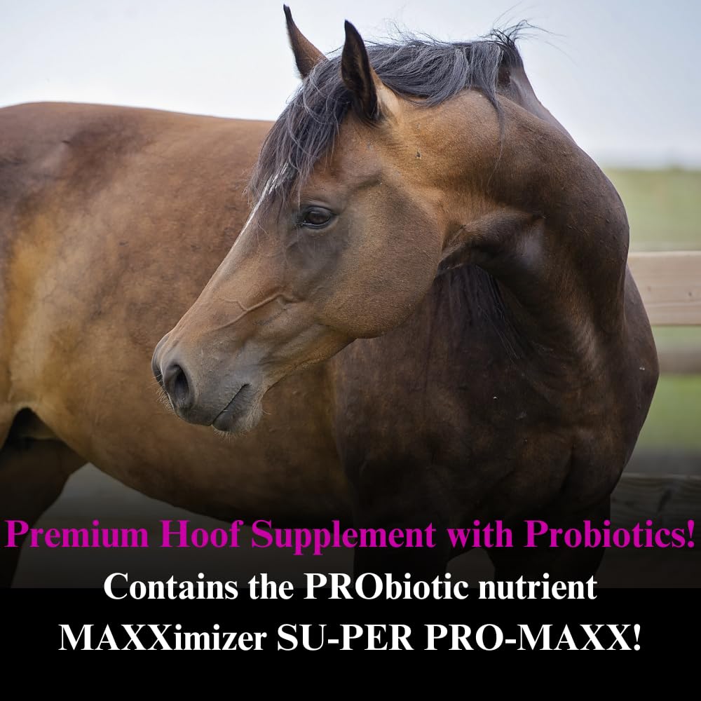 SU-PER Farriers Select Hoof Supplement - Horse Premium Hoof Care Supplement with Probiotics - Healthy Hoof Growth - 4 Pounds, 1