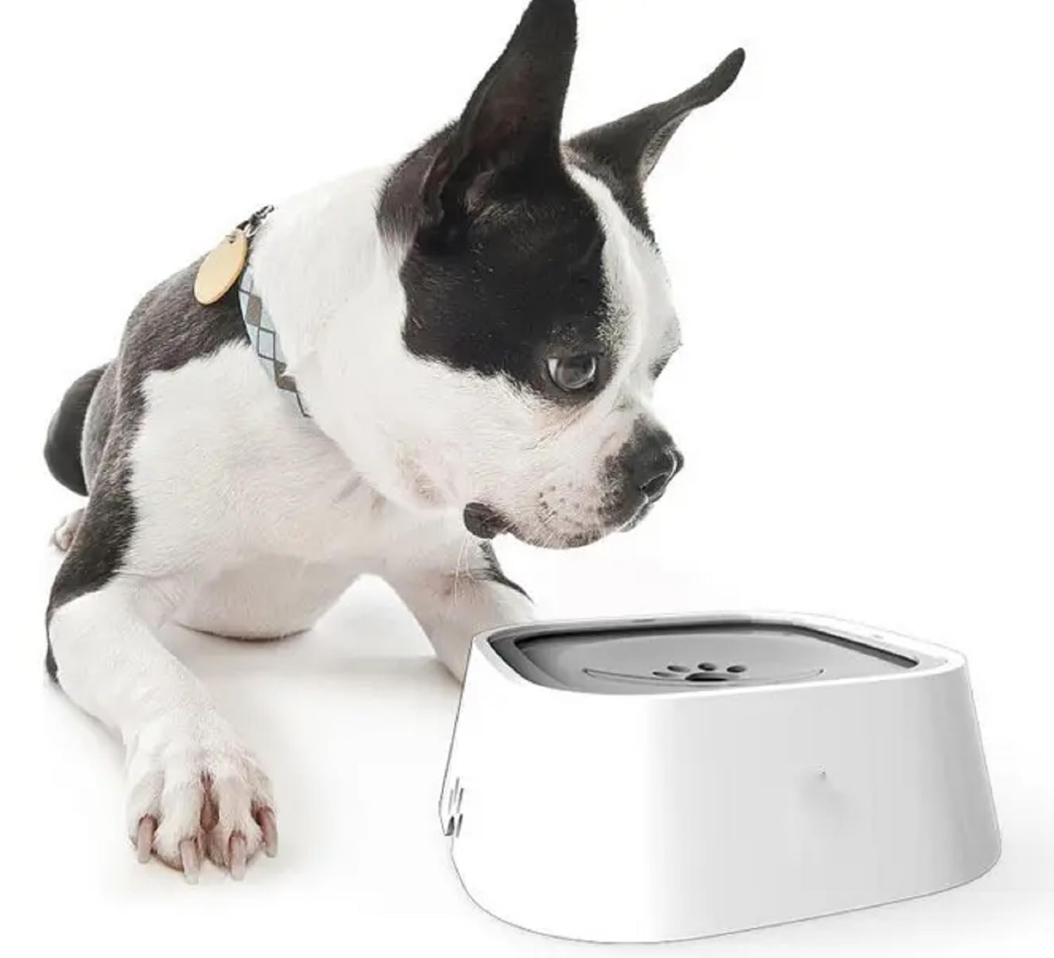Aakarit Plastic Dog Water Bowl Non Spill Pet With Filter, Slow Feeder Vehicle Carried Splash Free For Cats, Floating Disk | Mult