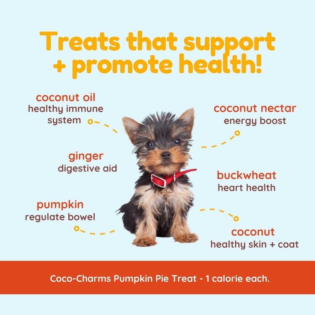 Cocotherapy Coco-Charms Training Treats - Pumpkin Pie, (1 Pouch), 5 Oz.