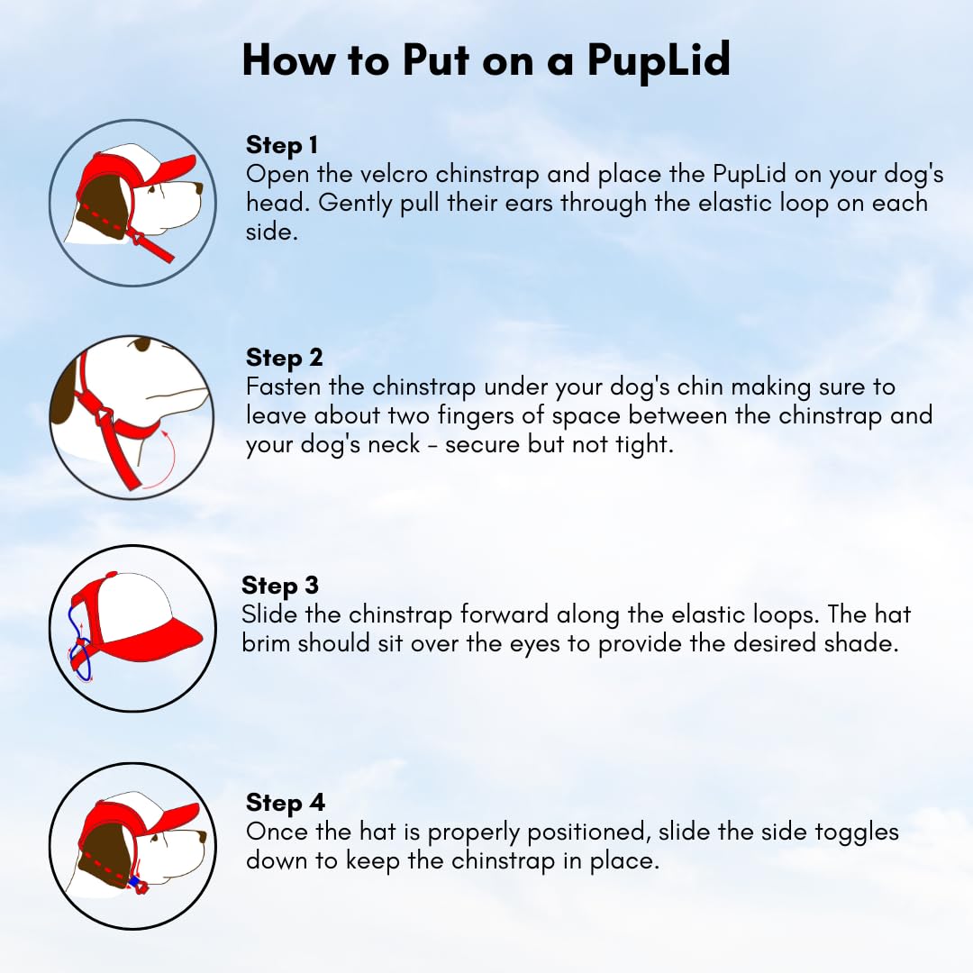 Sunset Collection, Puplid Trucker Hats For Humans Stylish Sun Protection Human Hat To Match And Twin With Your Dog(Black Surfer