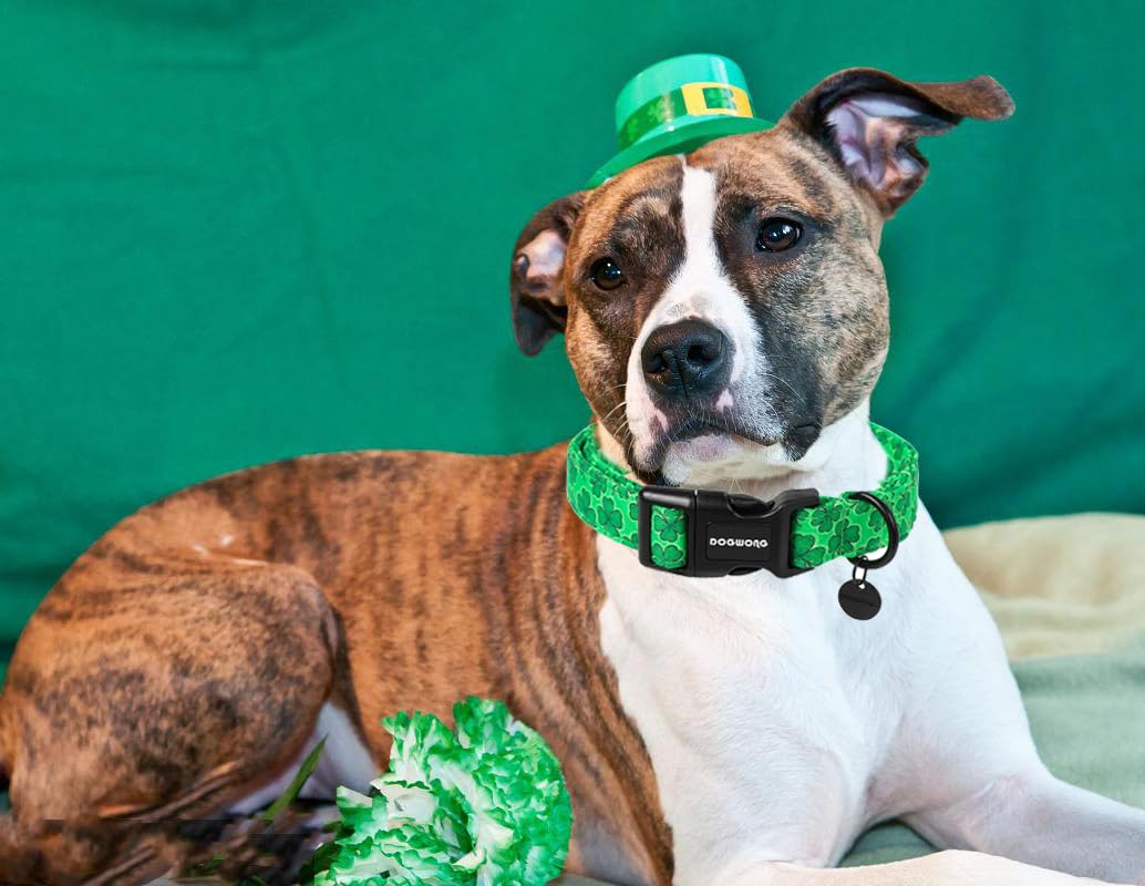 Dogwong St. Patrick'S Day Dog Collar, Green Lucky Clover Shamrock Green Dog Collar Soft Durable Adjustable Costume St. Patrick'S