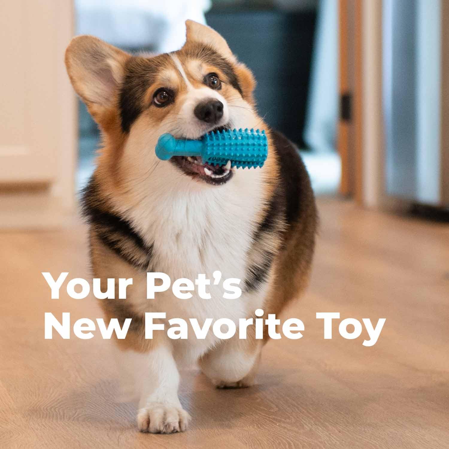 Oxyfresh Dog Dental Chew Toy - Best Durable Rubber Dog Toy & Puppy Teething Toy - Helps Remove Plaque, Cleans Teeth & Freshens B