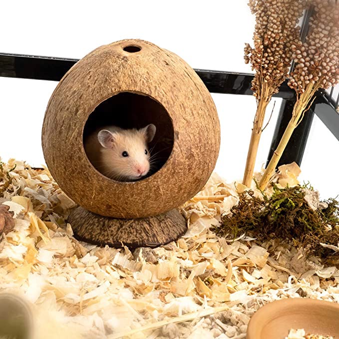 Coconut Hamster Hideout Hamster House Gerbil Cage For Small Animals With A Bundle Of Apple Sticks A Carrot (Brown)