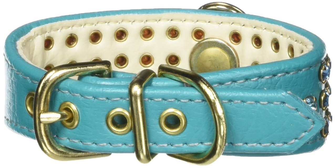 Dog, Puppy & Pet Collar, Manhattan Rhinestone Turquoisew/Turquoise 10