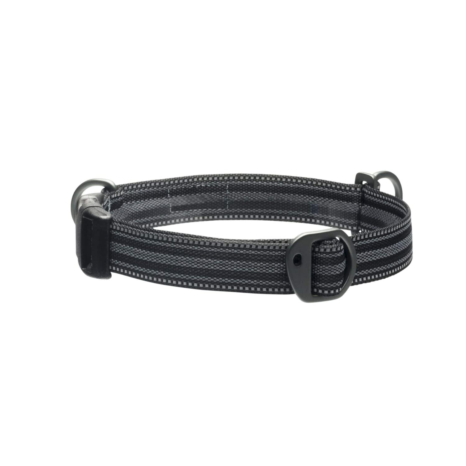 Stunt Puppy Go Dog Glo Everyday Collar, Black