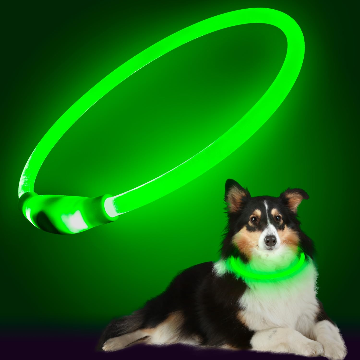 Higuard Led Dog Collar Usb Rechargeable Glowing Pet Collars Lighted Up Safety Necklace Glow In The Dark For You & Your Dogs (Gre