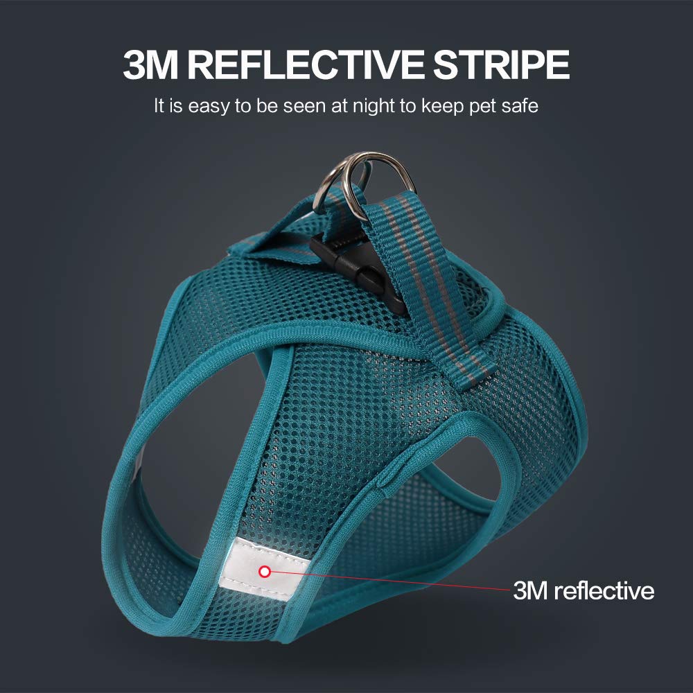 Heywean Cat Harness And Leash - Ultra Light Escape Proof Kitten Collar Cat Walking Jacket With Running Cushioning Soft And Comfortable Suitable For Puppies Rabbits (M, Turquoise)