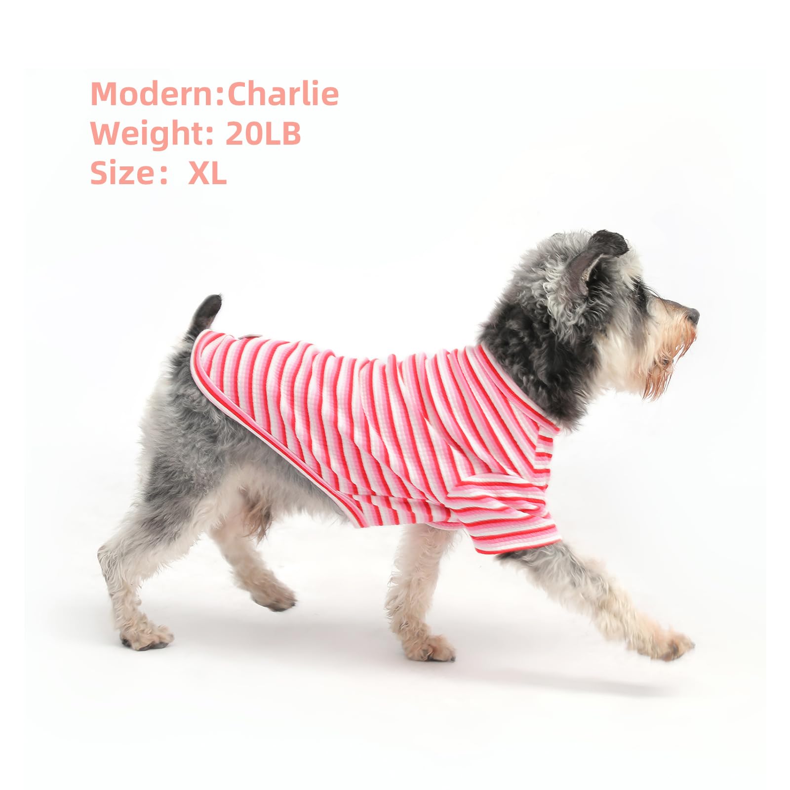Mengmengda Small Dog Shirts, Cotton Clothes Indoor During Winter, Schnauzer, Chihuahua, Breathable Soft Clothes (Pink Stripe-Xs)