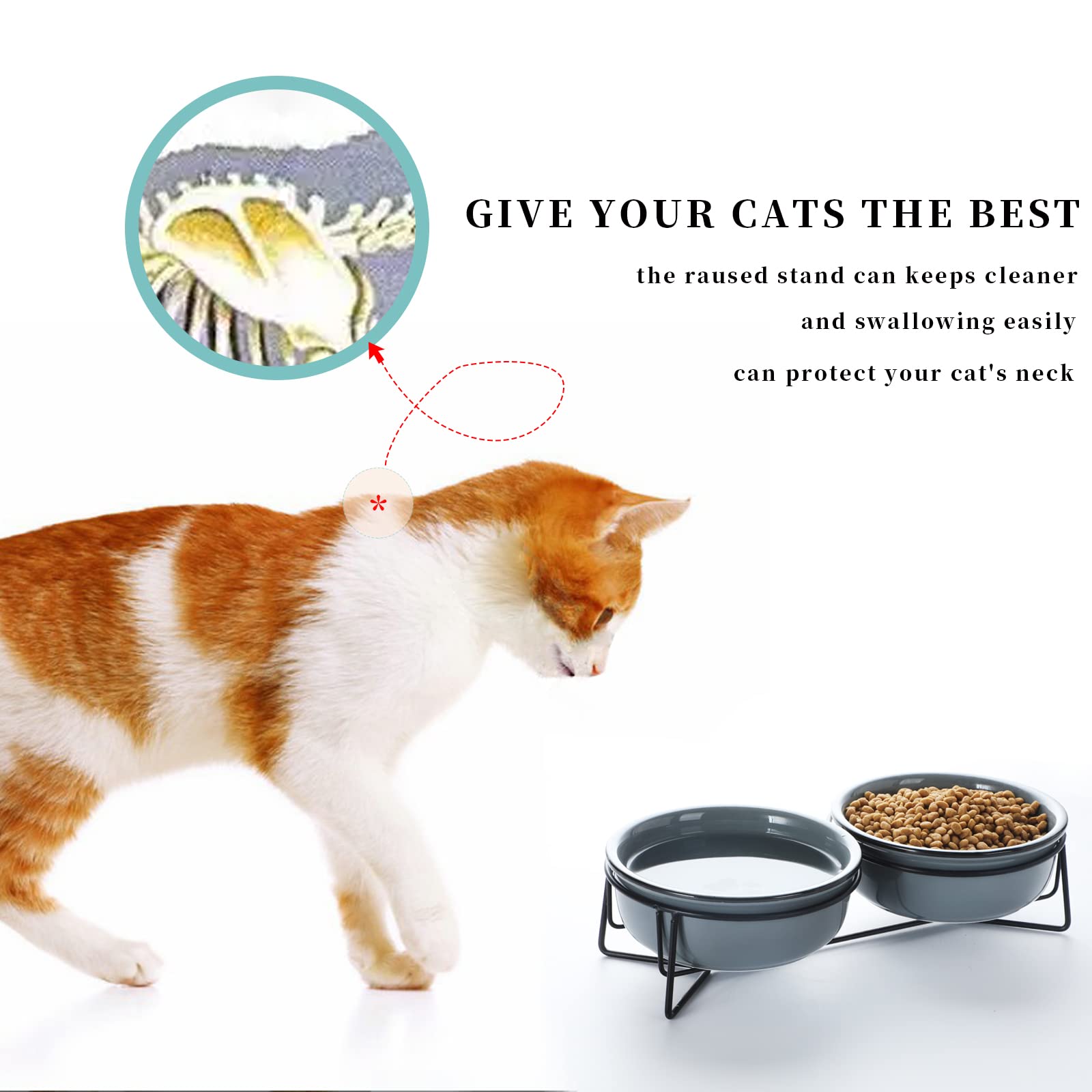 Gdcz Ceramics Raised Cat Small Dog Bowls With Heighten Metal Stand,15 Ounces (Grey)