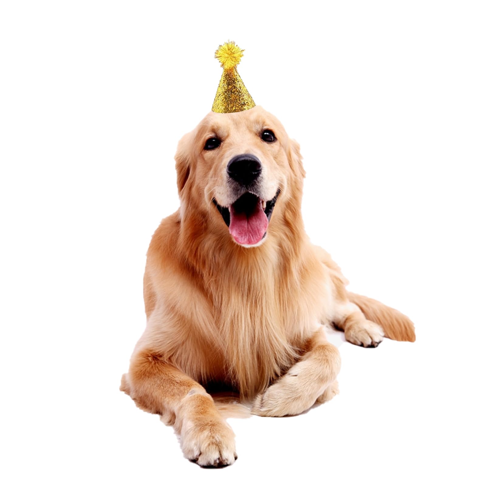 Cellcacn 10Pcs Dog Birthday Hat Set For Medium Large Breed, Dogs Cat Party Hat With Adjustable Headbands, Cute Pet Birthday Hat