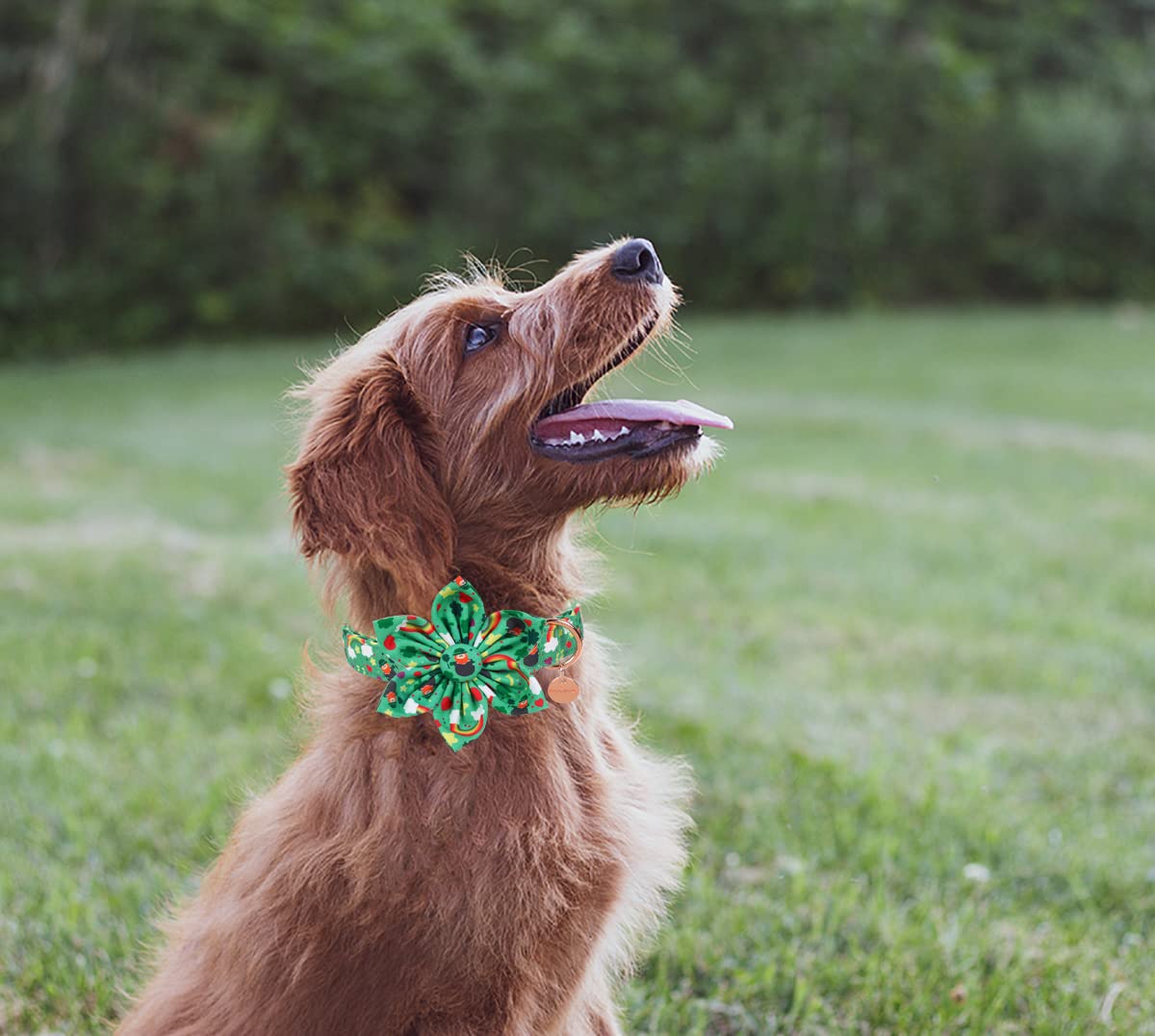 Dogwong Green Lucky Clover Shamrock Dog Collar With Flower, Soft Adjustable St. Patrick'S Day Lucky Charm Puppy Collar For Small