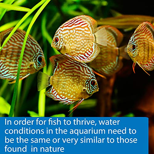 Api 5-In-1 Test Strips Freshwater And Saltwater Aquarium Test Strips 4-Count Box