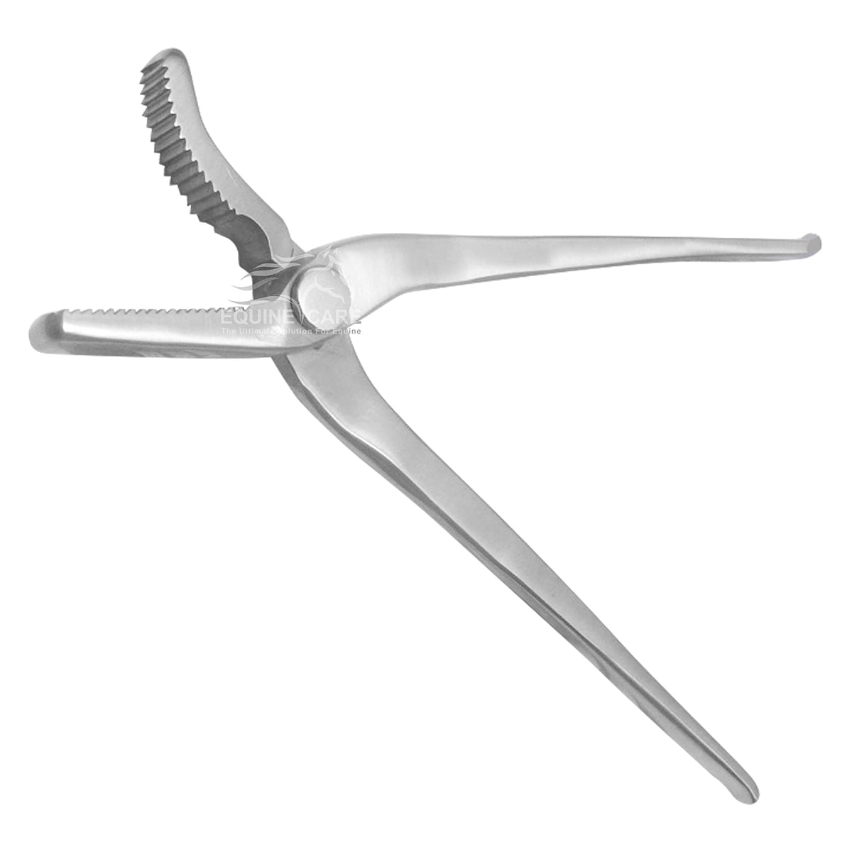 Equine Care 12-Inch Alligator Hoof Clincher - Chrome Vanadium Steel Farrier Tool For Expert Horseshoeing & Perfect Hoof Trimming