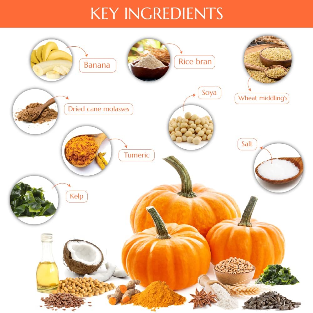 Kelcies Pumpkin Spice Horses Treats - Low Sugar, Starch, and Carbohydrates | Healthy Treats for Horse Supports Superior Digestio