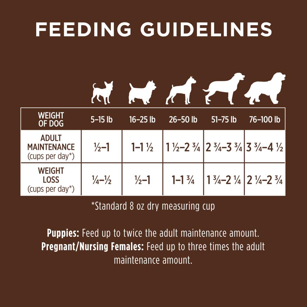 Be Natural Beef & Barley Dry Dog Food, 4.5 lb. Bag