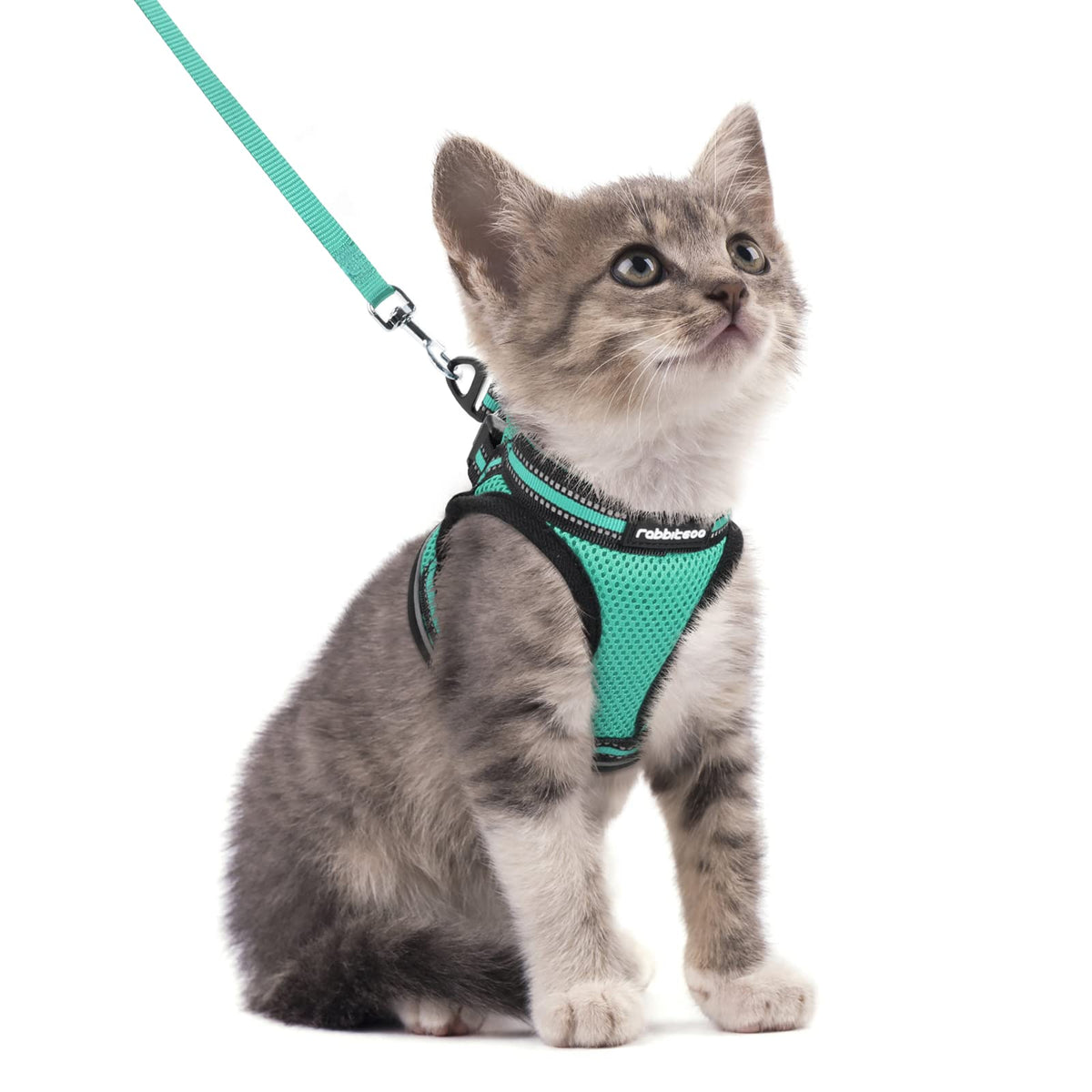 Rabbitgoo Cat Harness And Leash Set For Walking Escape Proof, Adjustable Soft Kittens Vest With Reflective Strip For Cats, Comfortable Outdoor Vest,Green,S