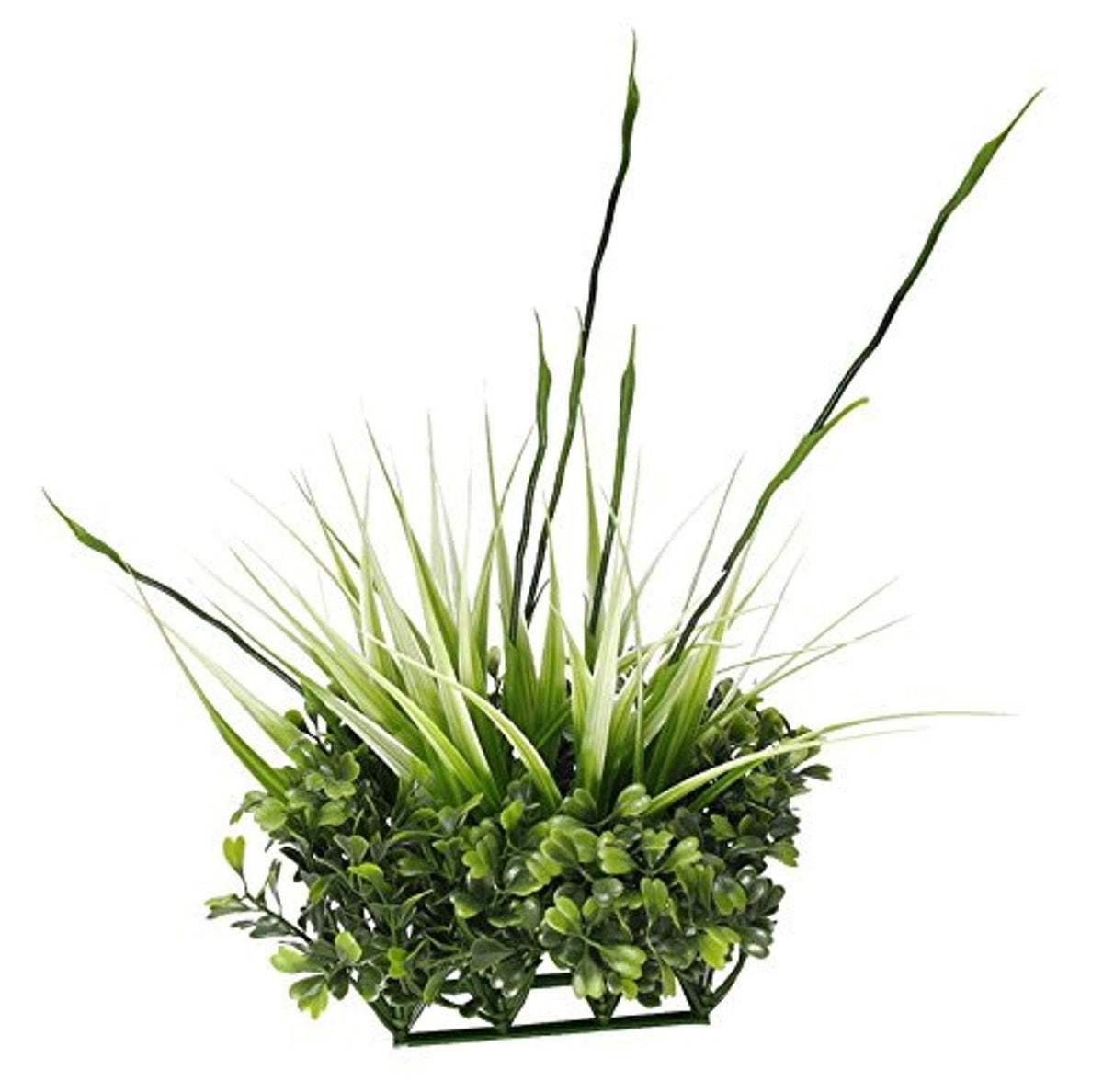 Fluval Chi Boxwood And Tall Grass Aquarium Ornament