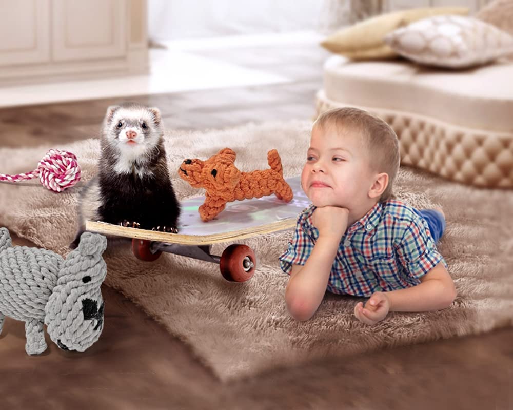 Haichen Tec 6 Pack Ferret Toys Rope Chew Toy Durable Knotted Rope Tug Perfect For Teething Mammals Cotton Rope Toys Interactive Dog Rope Toy Set Machine-Washable (6 Pack)