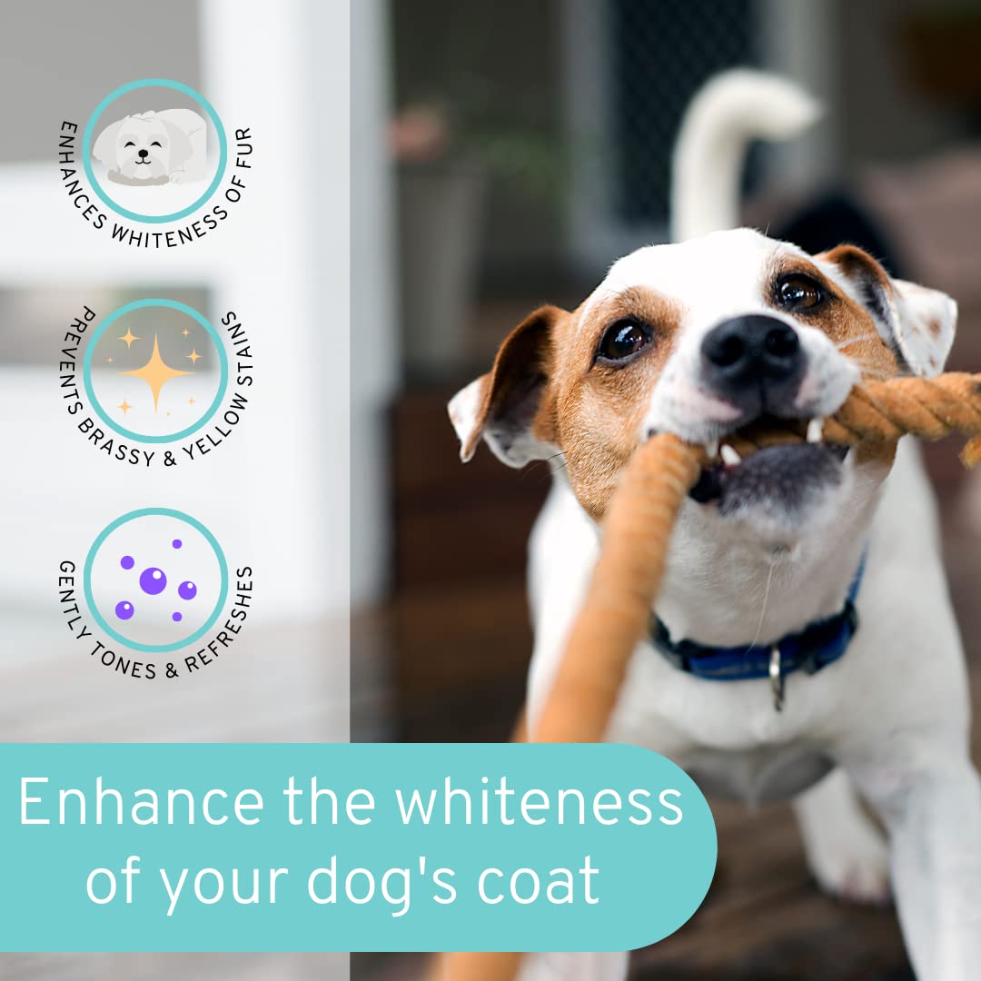 1 Gallon Dog Whitening Shampoo - (Mountain Fresh Scent) Groomers Choice - Made in The USA